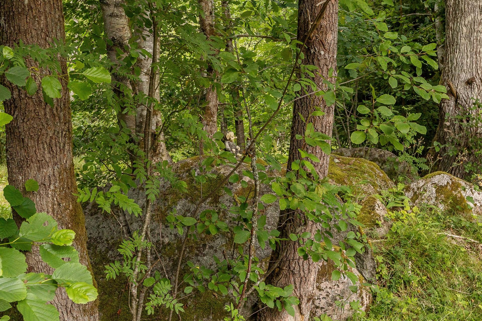 3 rum Villa på Lädja Backegård 4 Lammhult Växjö kommun - bild 25