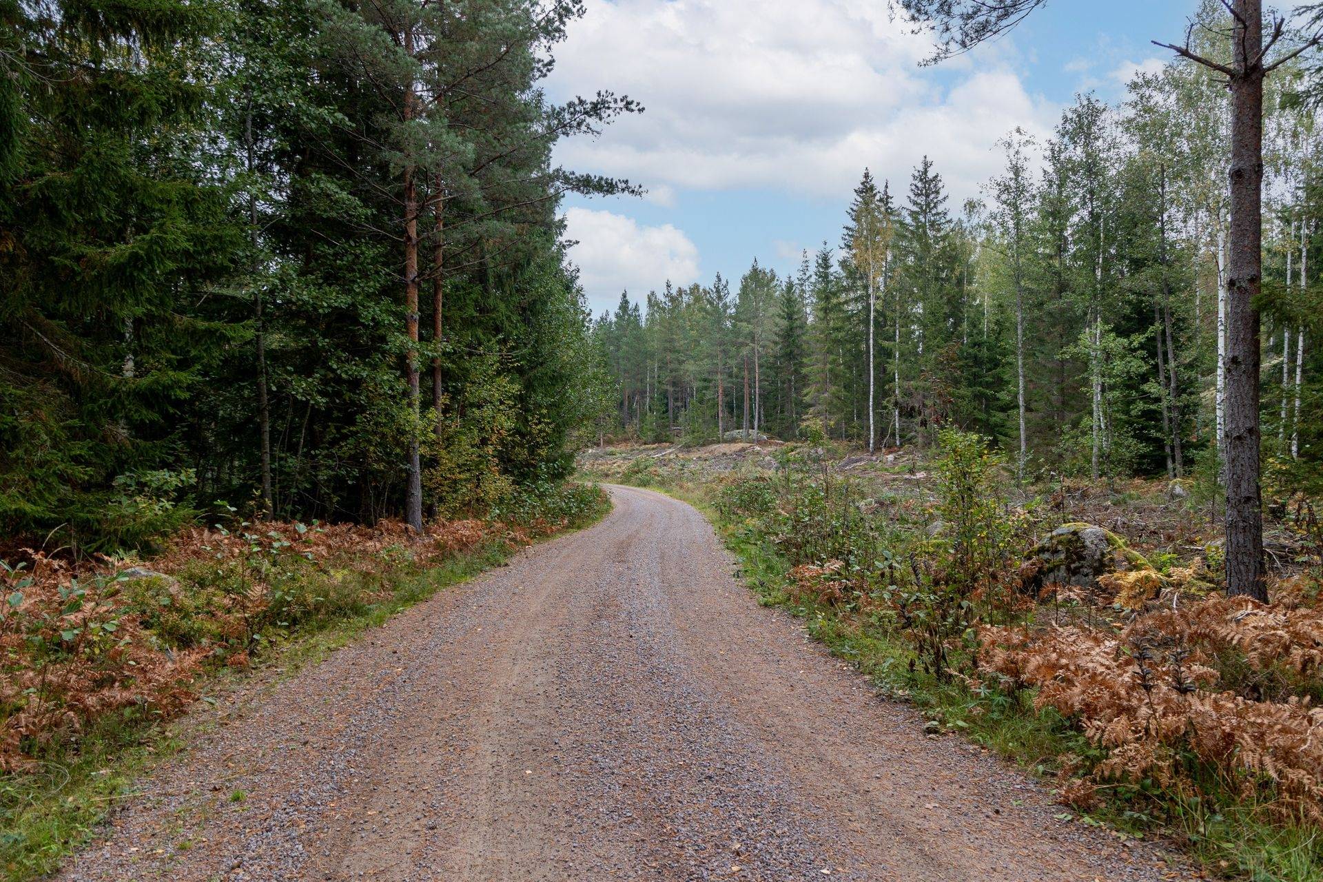 Gård/skog på Dalsebo Vena Hultsfreds kommun - bild 6