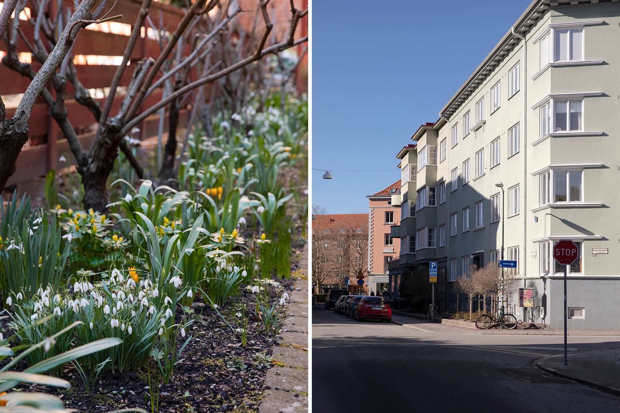 1 rum Lägenhet på Mäster Danielsgatan 4 S:t Knut - Malmö Malmö kommun - bild 18