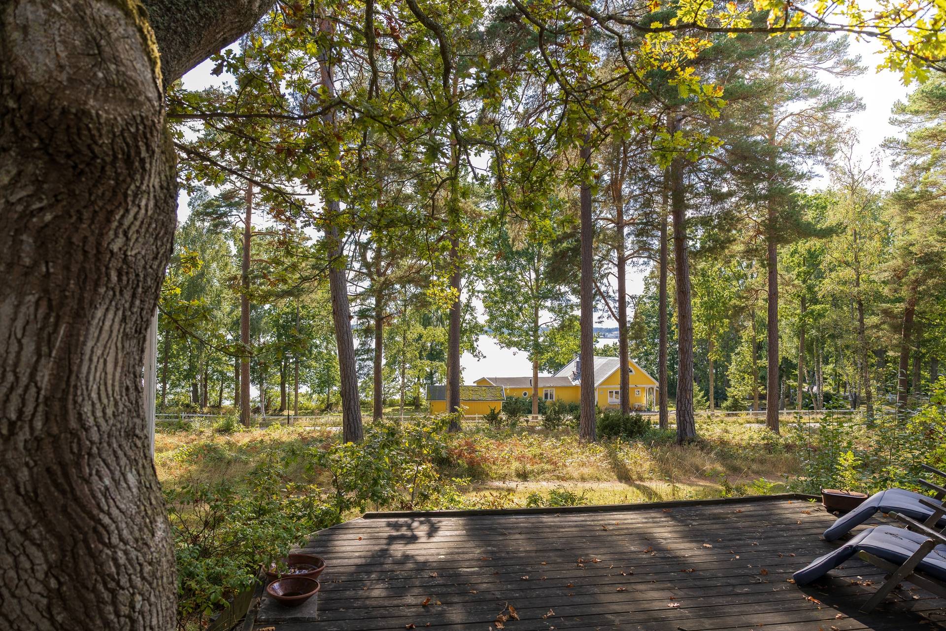 3 rum Vinterbonat fritidshus på Lövstigen 18 Gränsö Västerviks kommun - bild 56