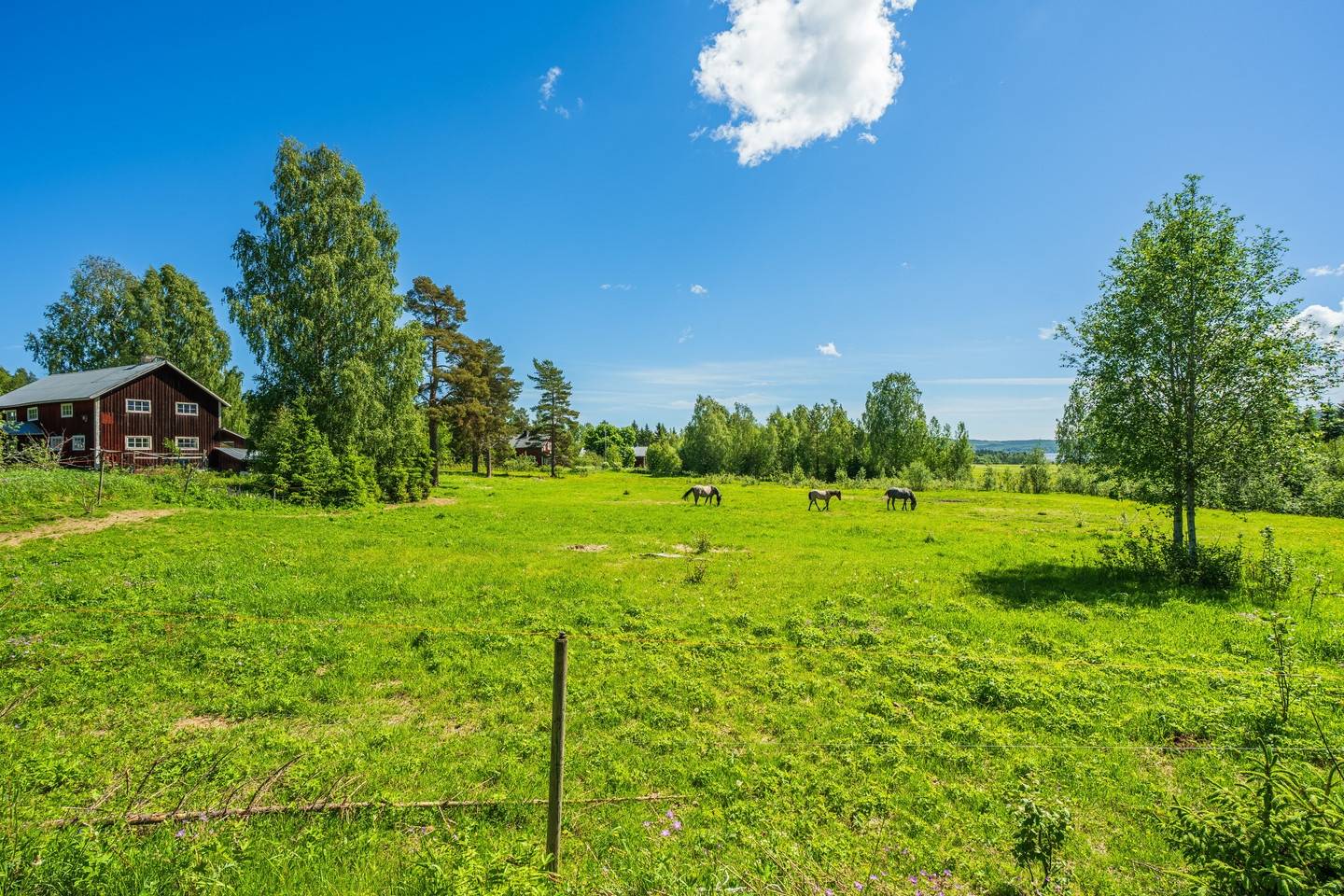 5 rum Gård/skog på Västanåmarken 215 Bjästa Örnsköldsviks kommun - bild 21