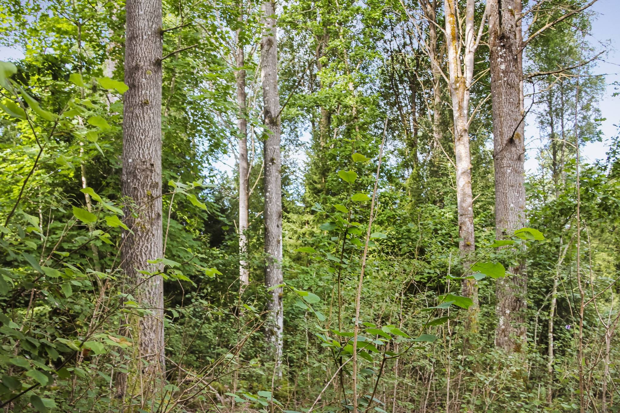 70 m² Gård med jordbruk på Buskahult 132 Holmsjö Karlskrona kommun - bild 25
