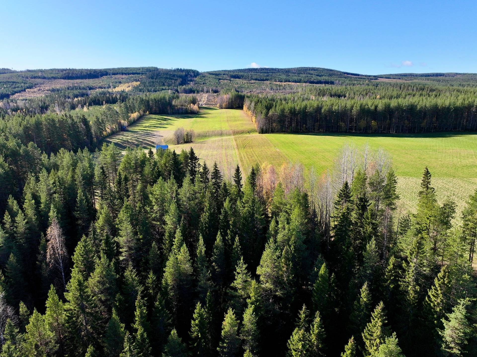 Gård/skog på Granön 4:6 Vindelns kommun - bild 12