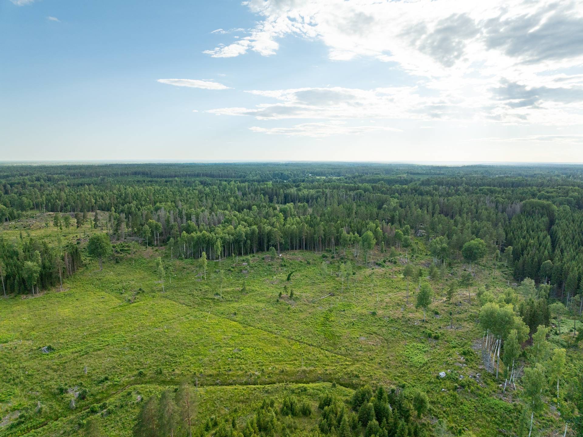 Gård/skog på Bjälketorp Södermanland Eskilstuna kommun - bild 20