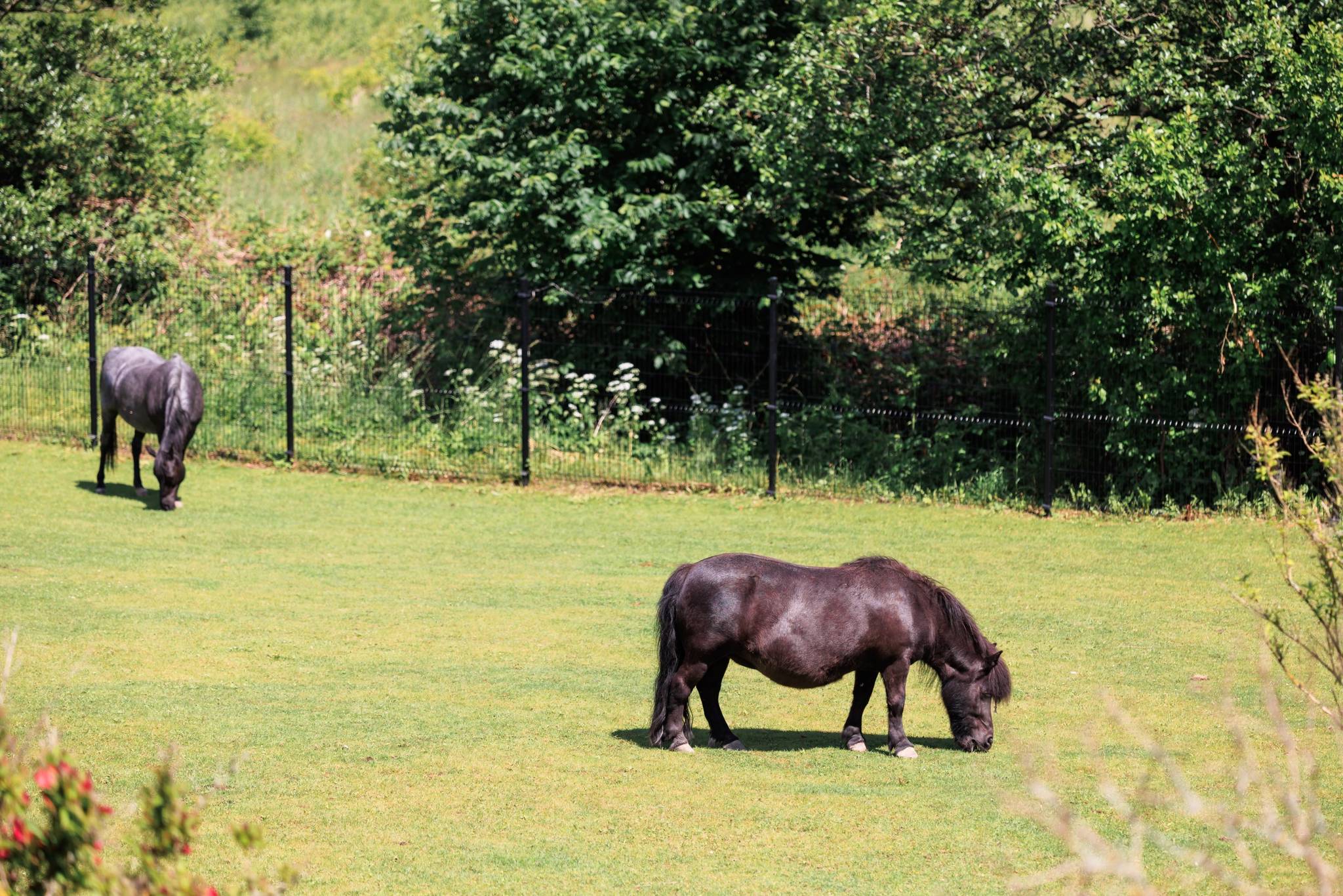 12 rum Villa på Påarpsvägen 11 Östra Ramlösa Helsingborgs kommun - bild 2