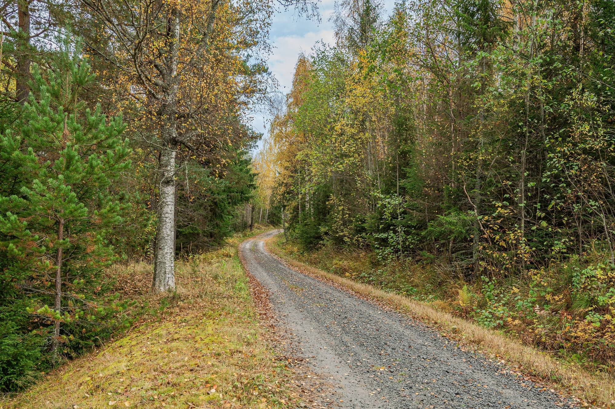 4 rum Gård/skog på Finnsta 713 Finnsta Ånge kommun - bild 31