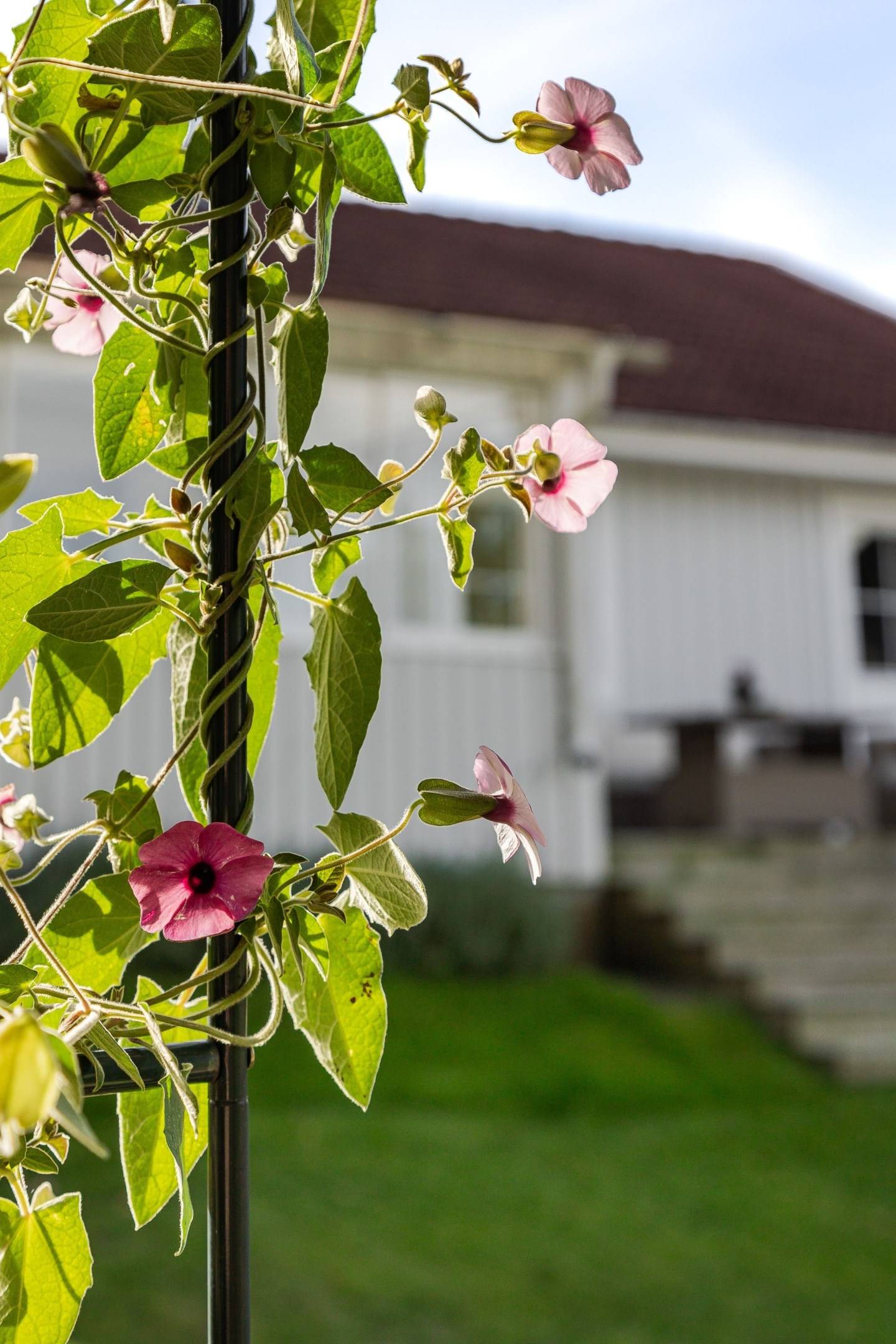 5 rum Villa på Taggbuskevägen 10 Almvik Västerviks kommun - bild 54