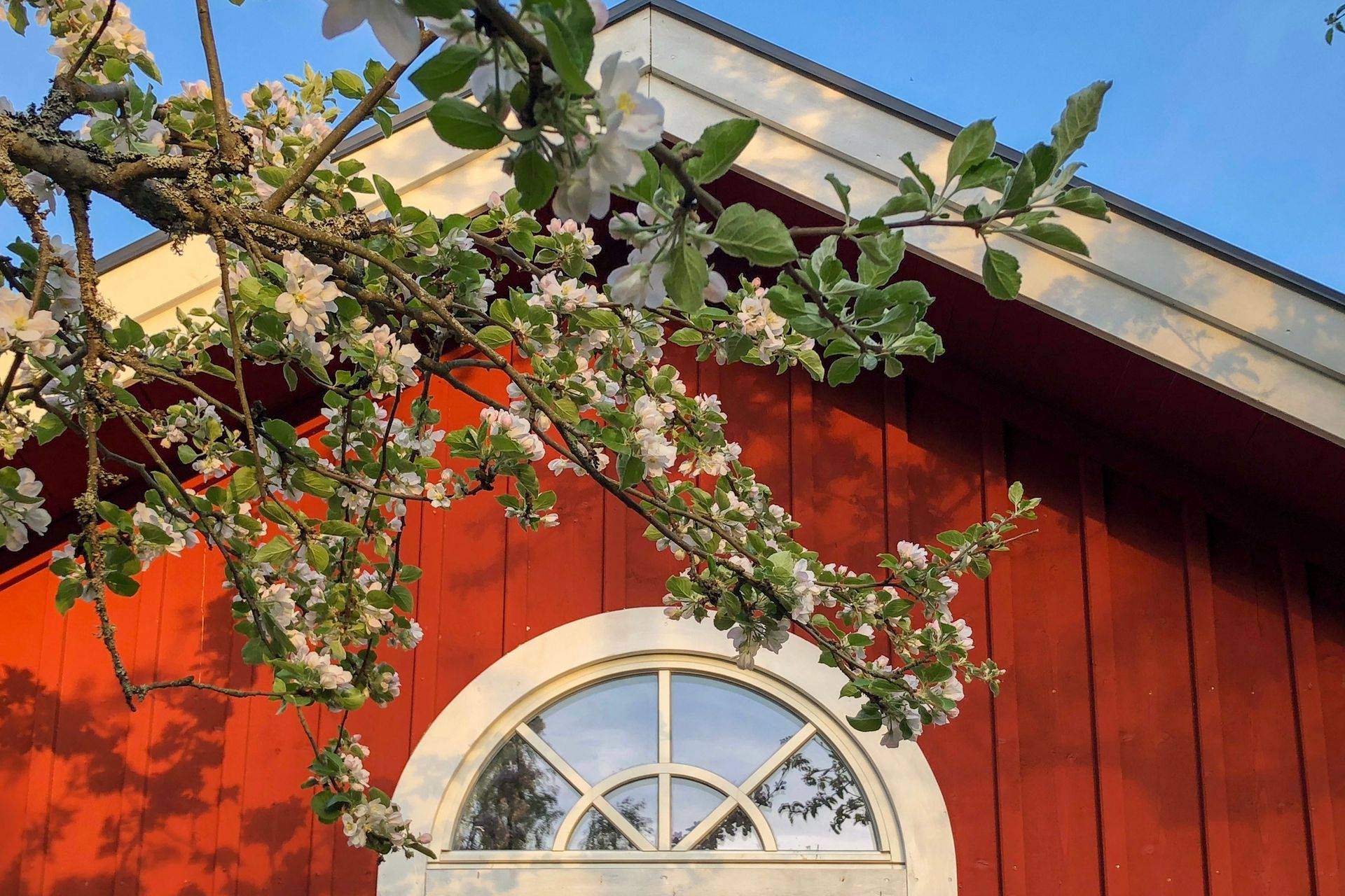 4 rum Villa på Hästhagen Fridhem 4 Hästhagen Strängnäs kommun - bild 67