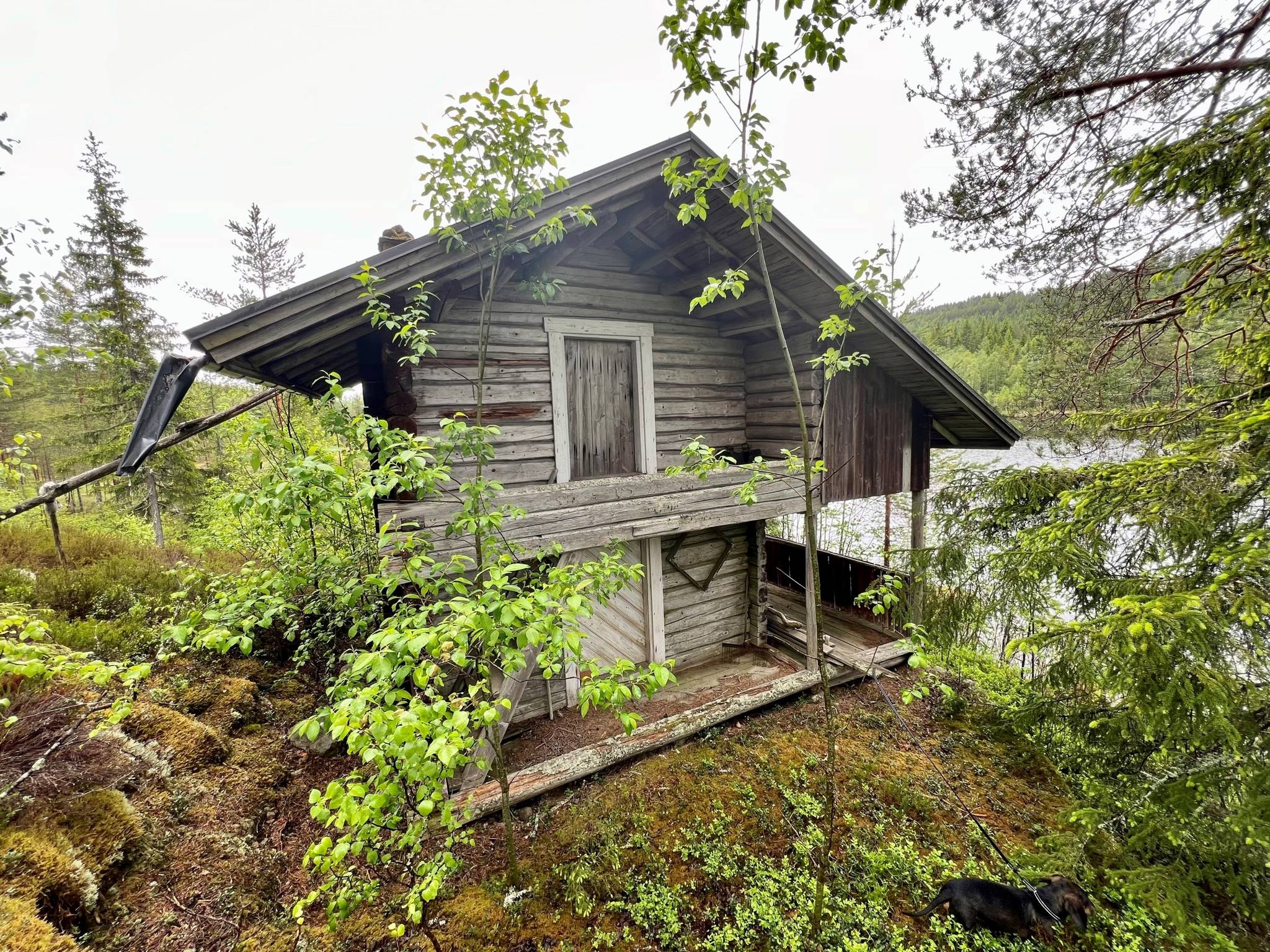 1 rum Gård/skog på Ulvsjön 19 Torsby kommun - bild 24