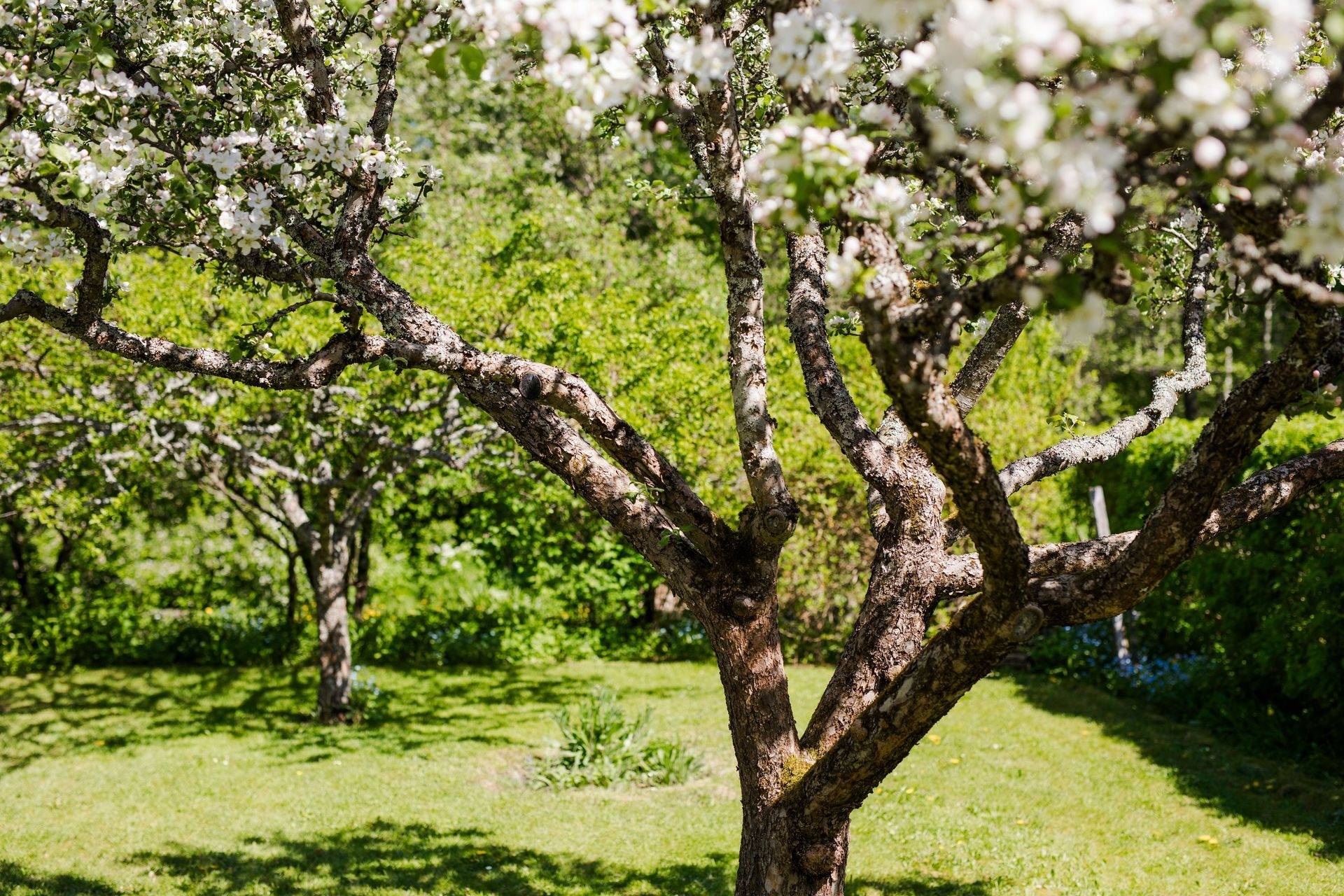 7 rum Villa på Skönbergavägen 9 Eksjö Eksjö kommun - bild 55