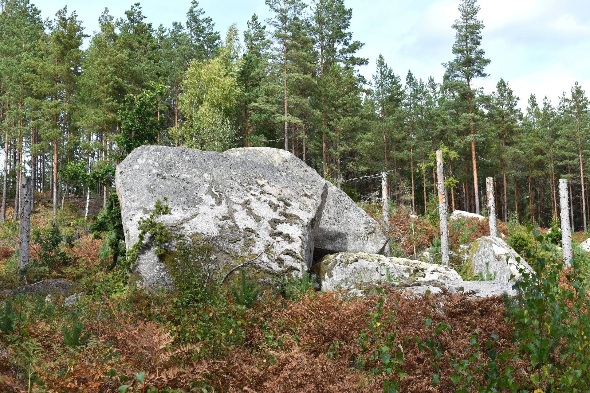 Gård med skogsbruk på Svalehult Nybro kommun - bild 6