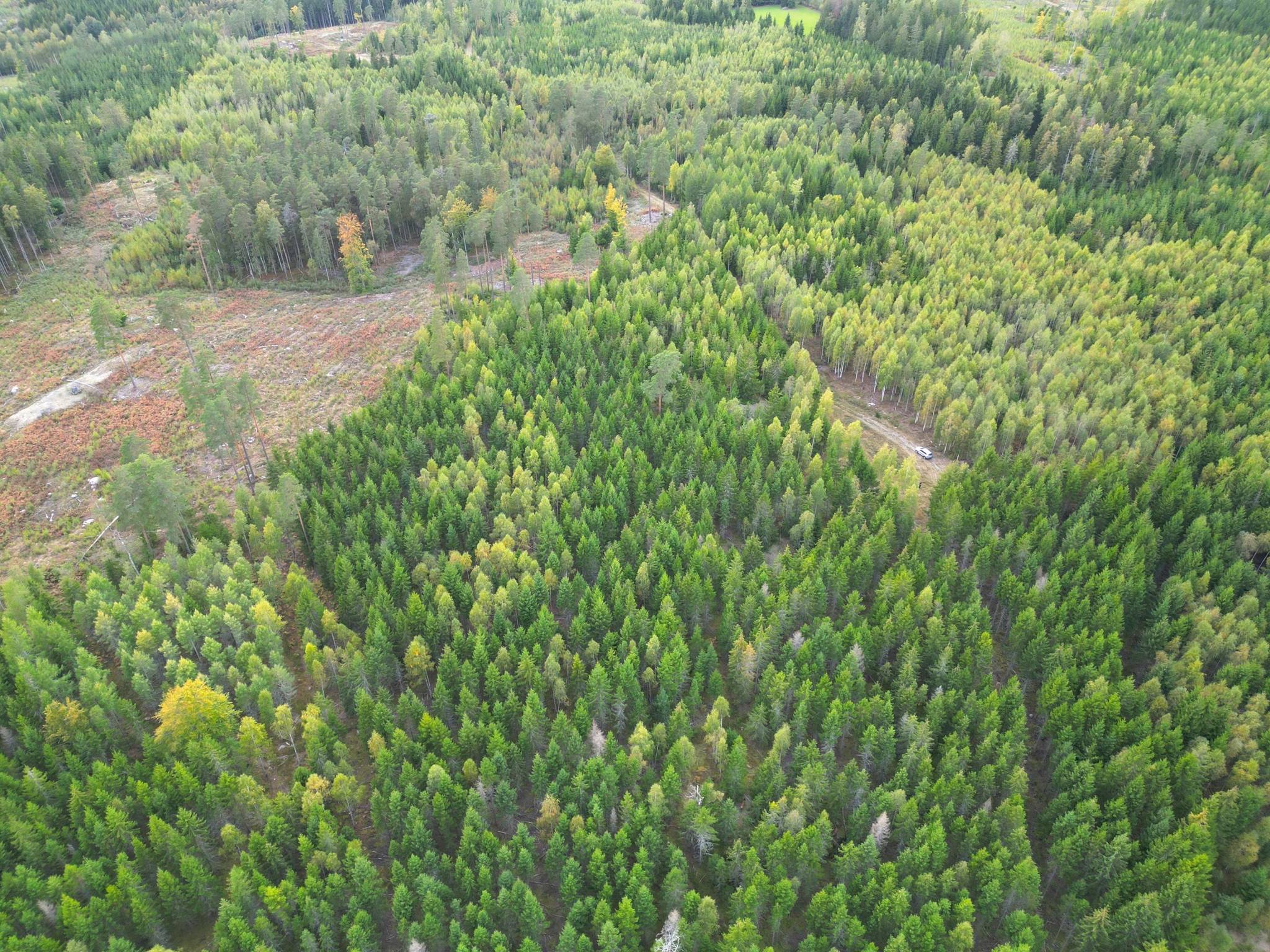 BLEKINGE SVERIGES TRÄDGÅRD, Ronneby kommun
