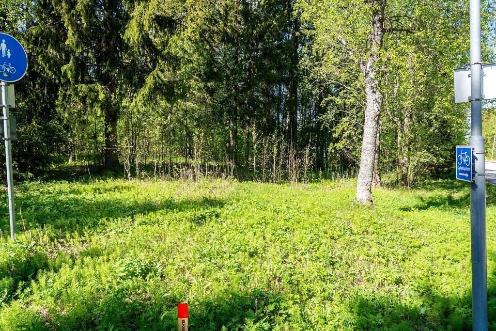 Gård/skog på Mattila 106 Mattila Haparanda kommun - bild 20