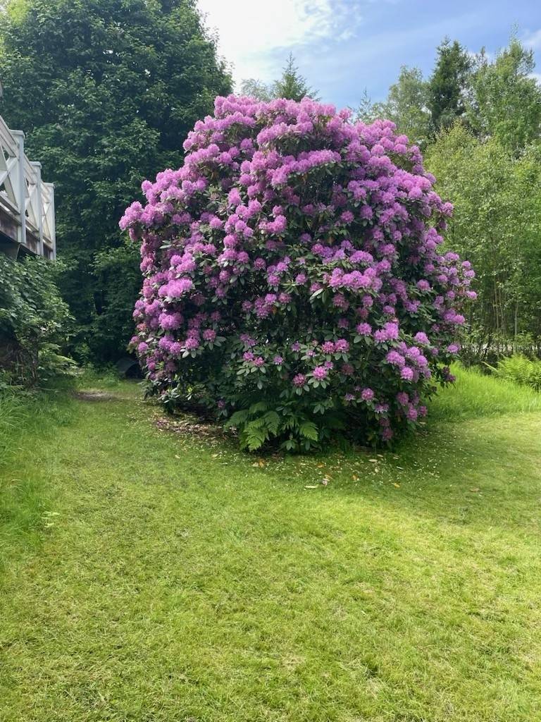 4 rum Villa på Ölanda 285 Ölanda Ale kommun - bild 8