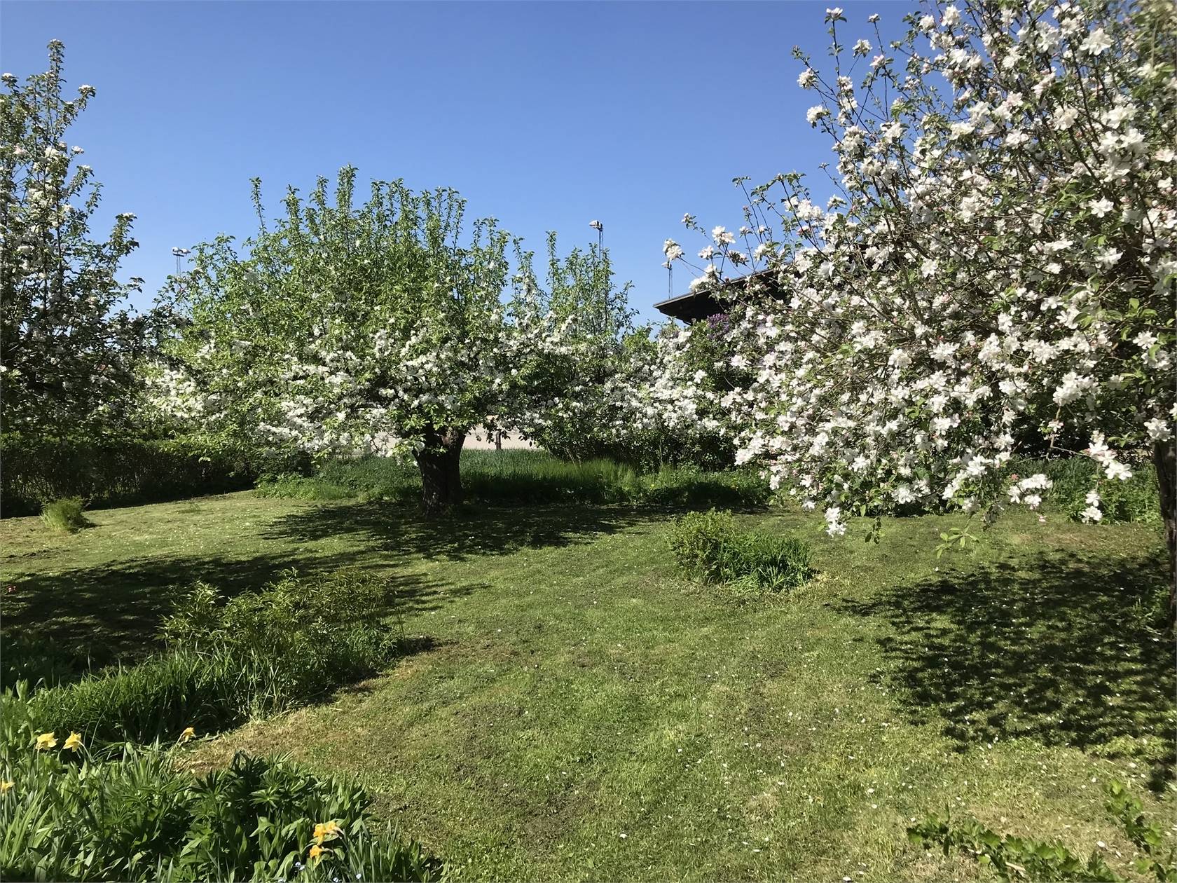 4 rum Villa på Stralsundsgatan 4 Enskedefältet Stockholms kommun - bild 2