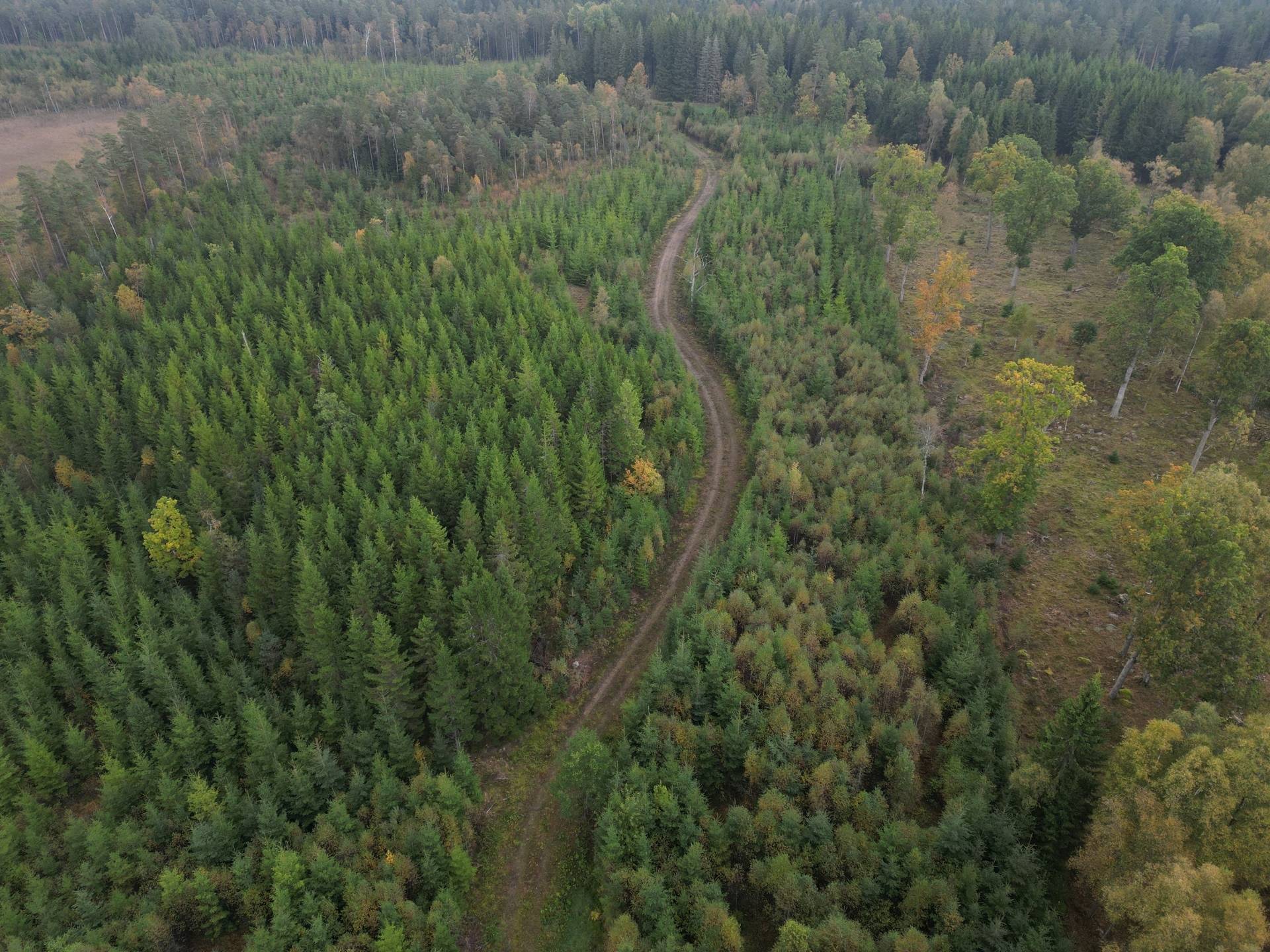 Gård med jordbruk på Yttrebo 107 Hylte kommun - bild 23