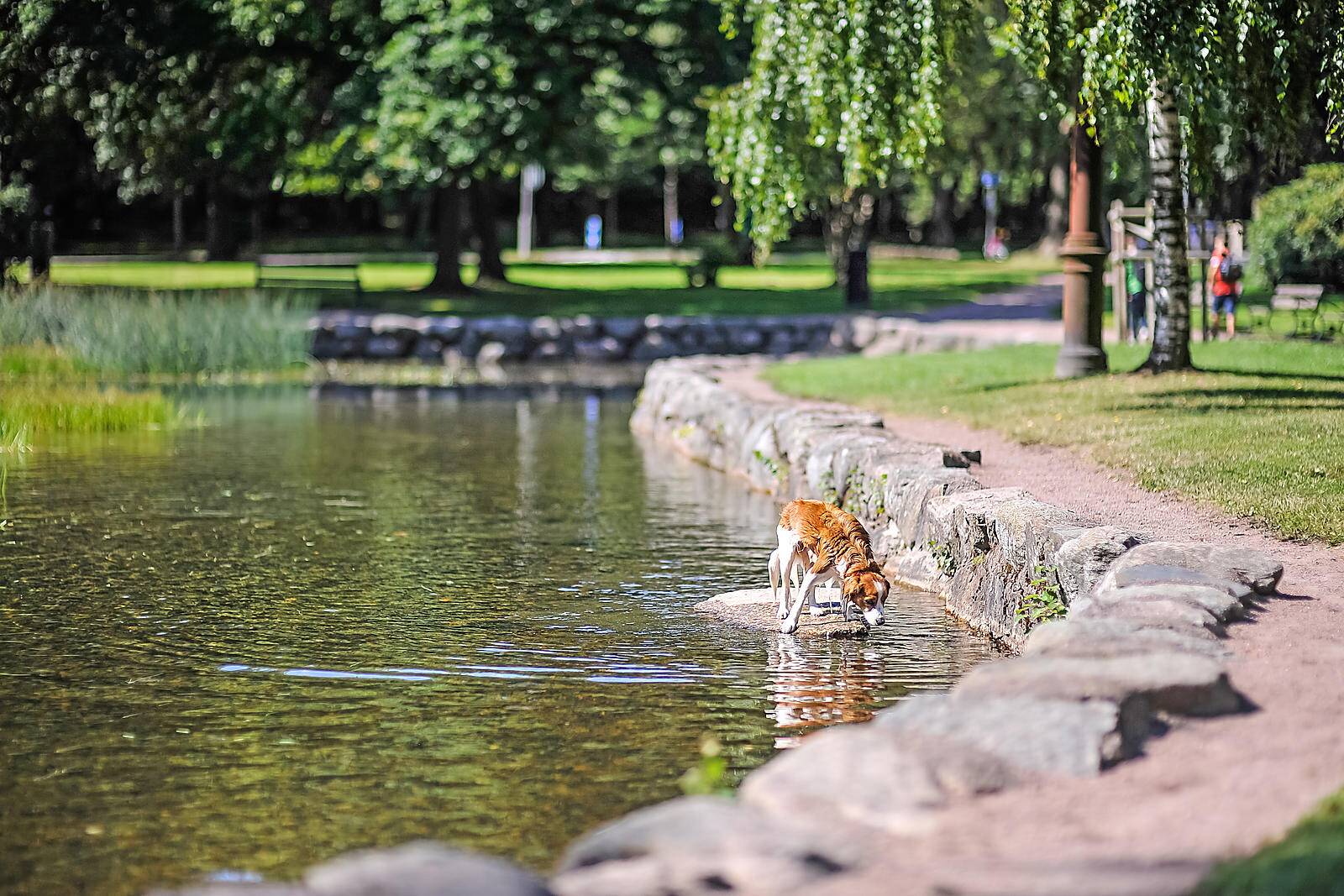 2 rum Lägenhet på Myntgatan 16B Centrala Hisingen Göteborgs kommun - bild 26