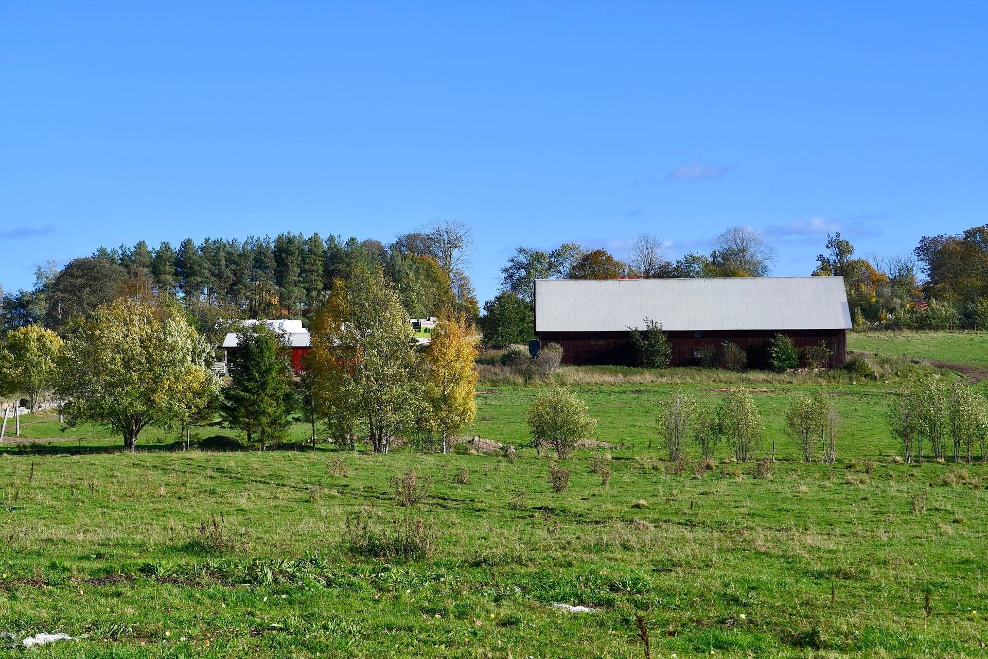 Gård med skogsbruk Binneberg Skövde kommun - bild 43