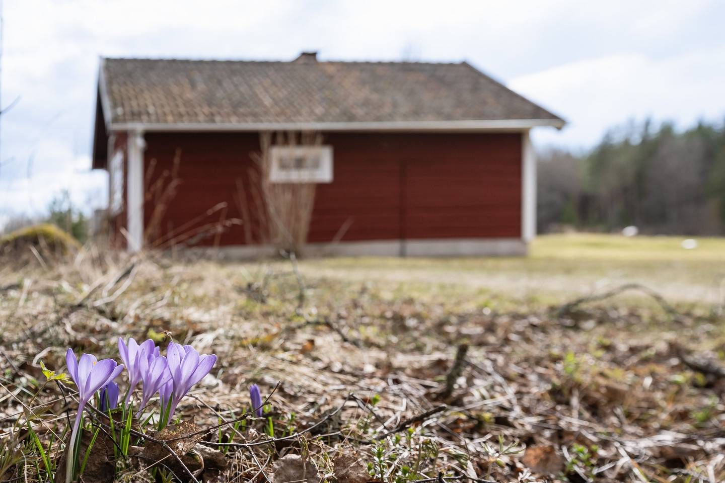1 rum Fritidshus på Högsbo 551 Tärnsjö Heby kommun - bild 32