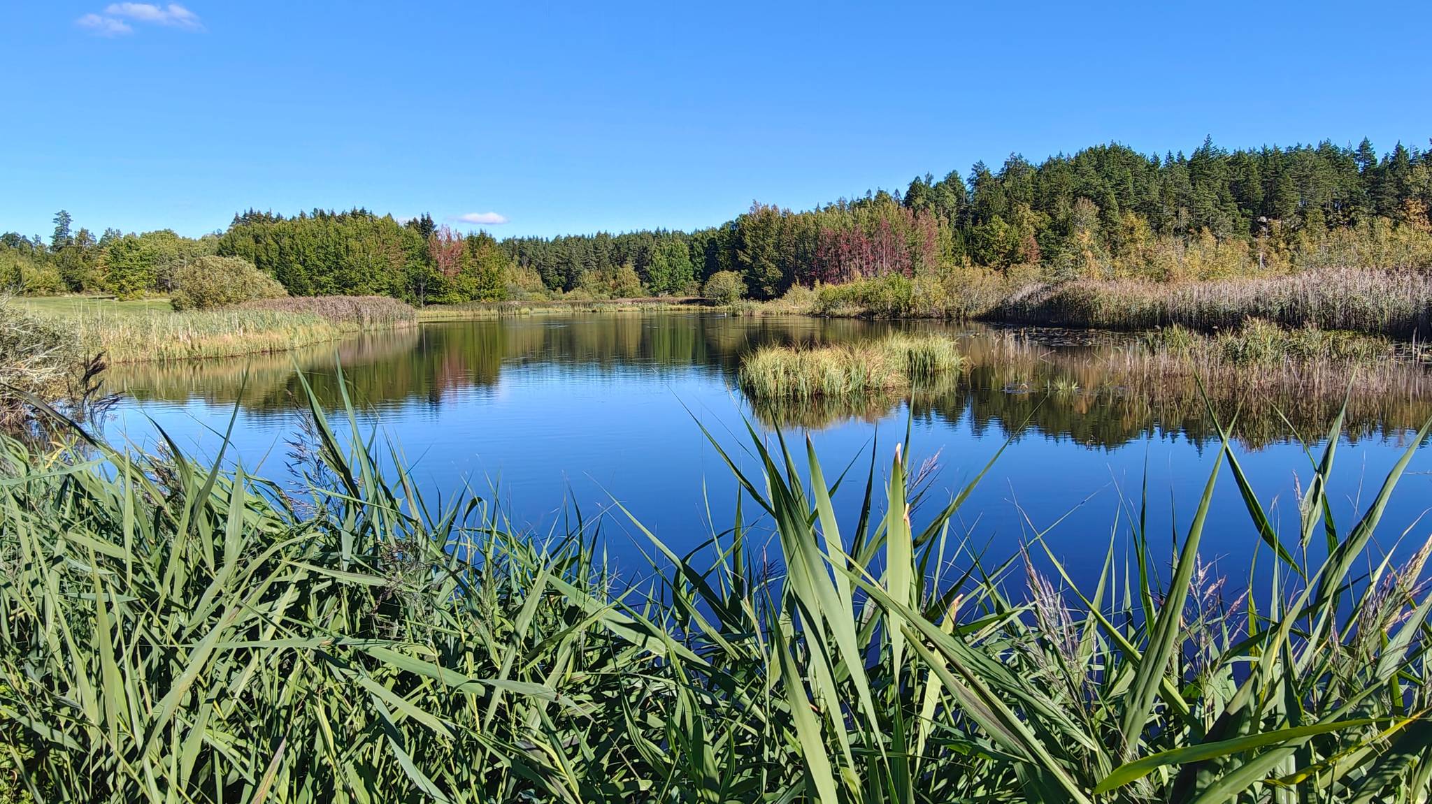 5.5 rum Villa på Häjan Landet 1 Olerum Söderköpings kommun - bild 51
