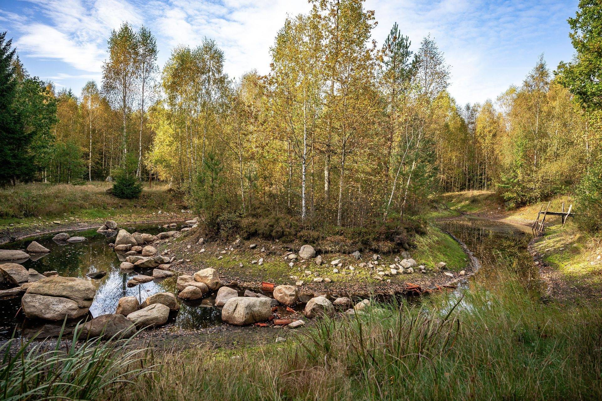Gård/skog på Jägersborgsvägen Hässleholms kommun - bild 16