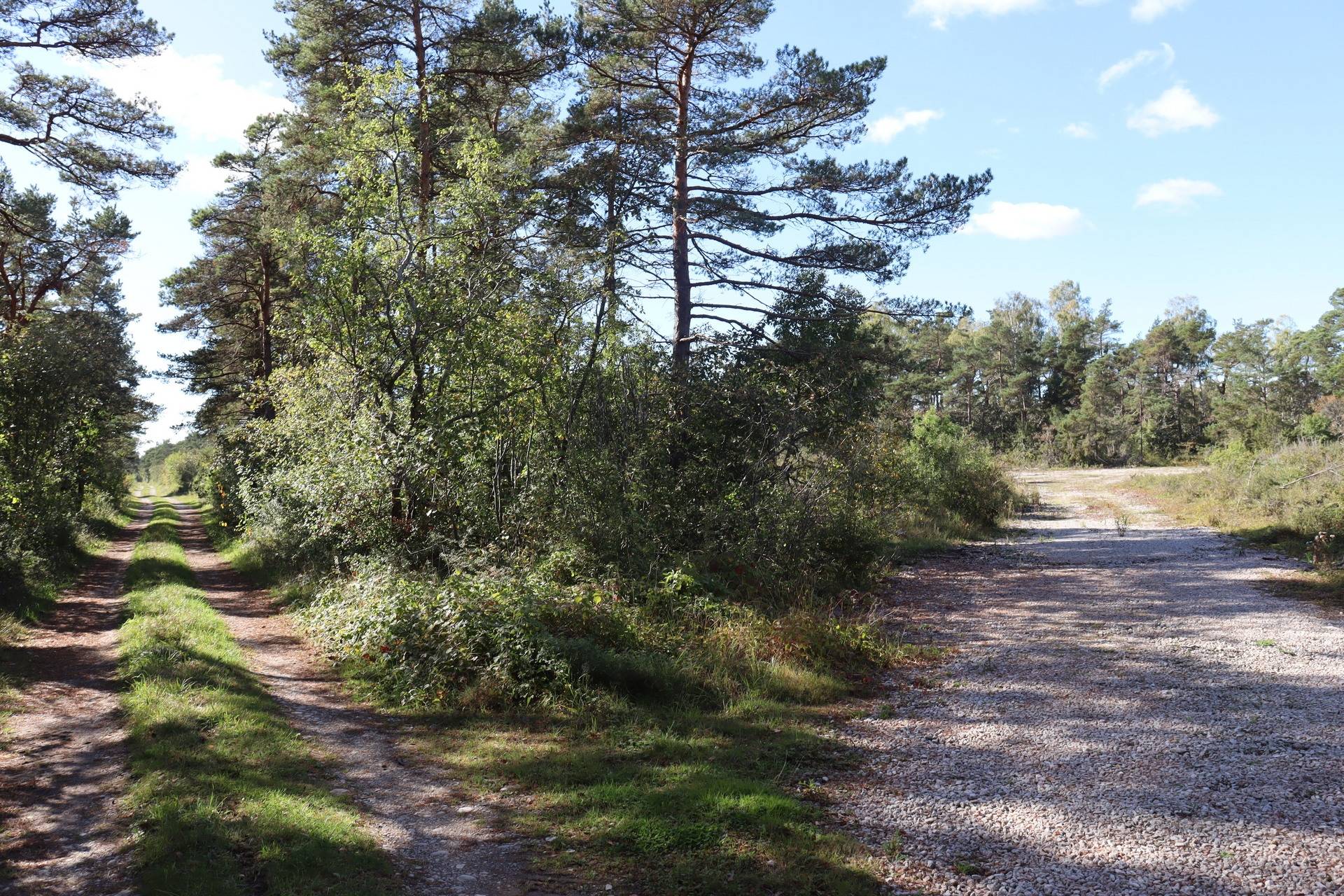 Gård med skogsbruk på Lau Botels Lau - Östra Gotland Gotlands kommun - bild 11