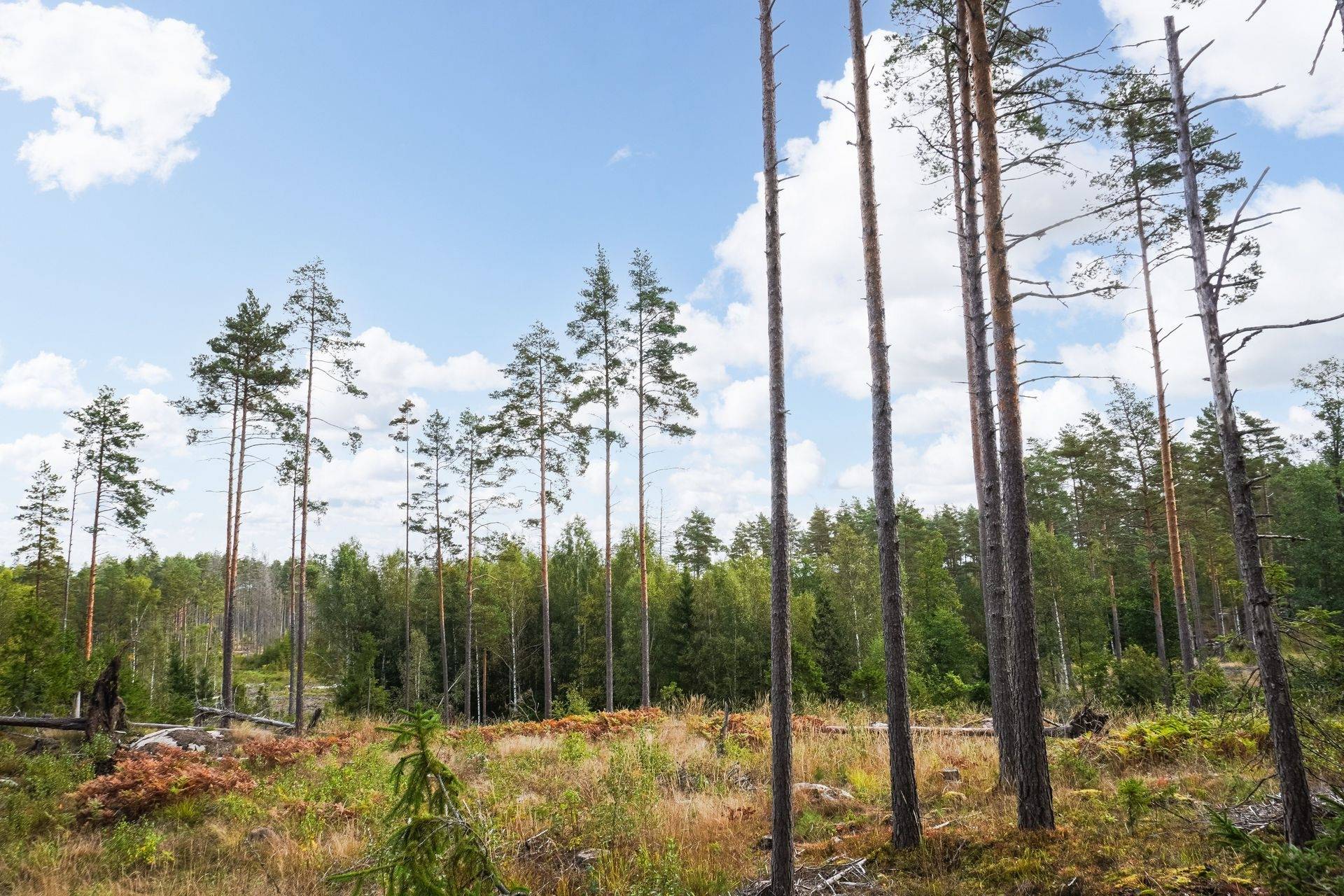 Gård med skogsbruk på Norrtälje Bro 4:8 & 8:1 Norrtälje kommun - bild 14