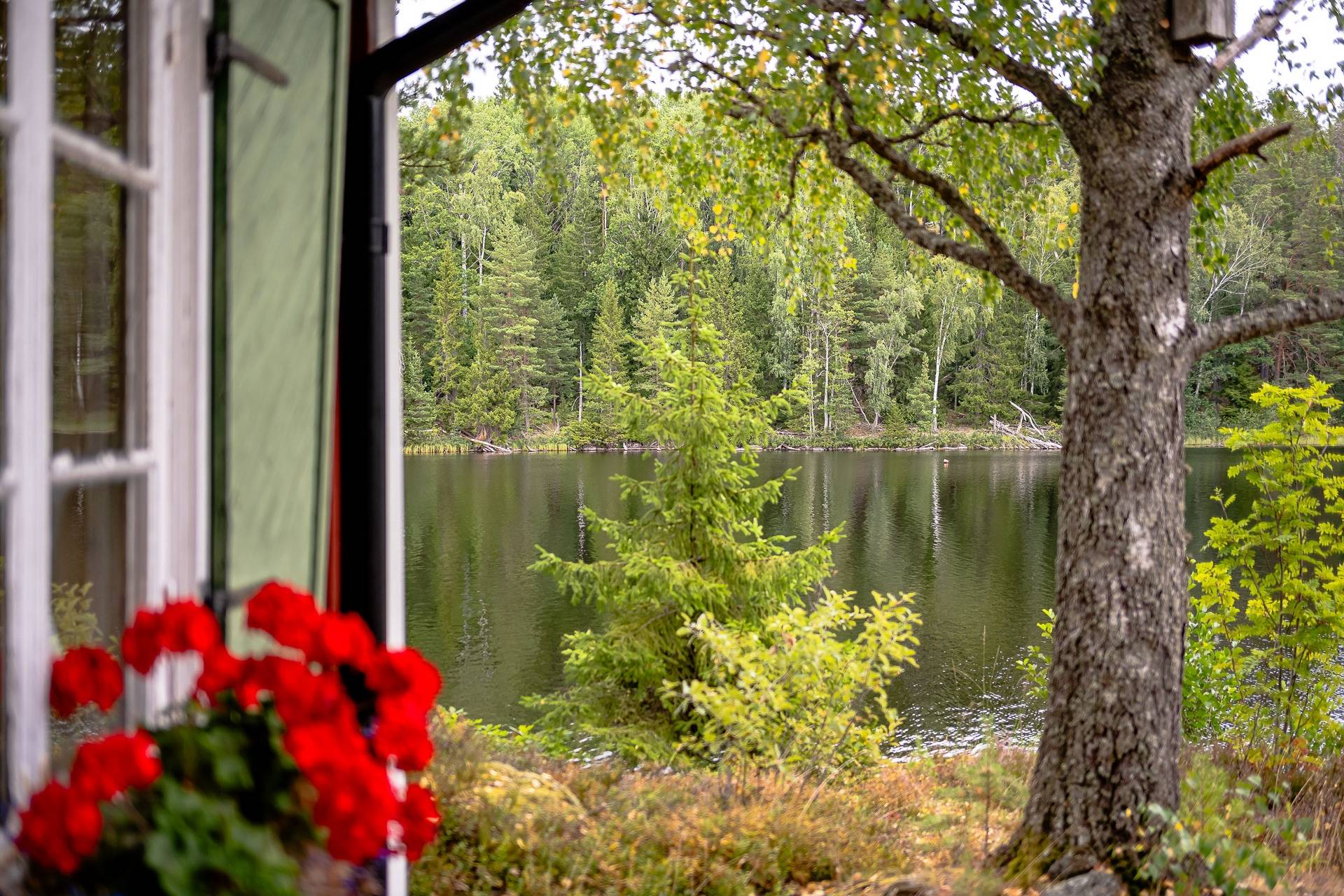 2 rum Villa på Holmsjön 4 och 6 Hälleforsnäs Flens kommun - bild 23