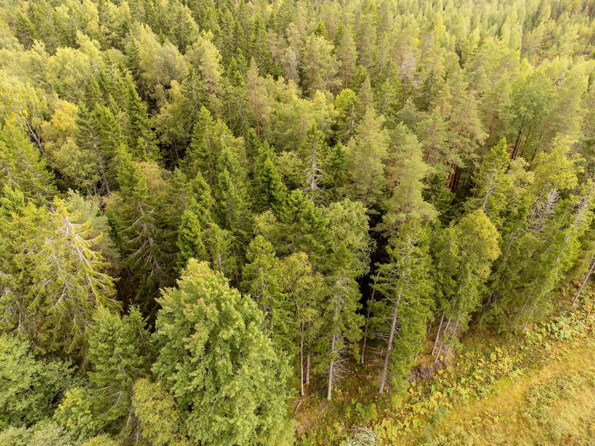 Gård med skogsbruk på Skogalund Lekebergs kommun - bild 5
