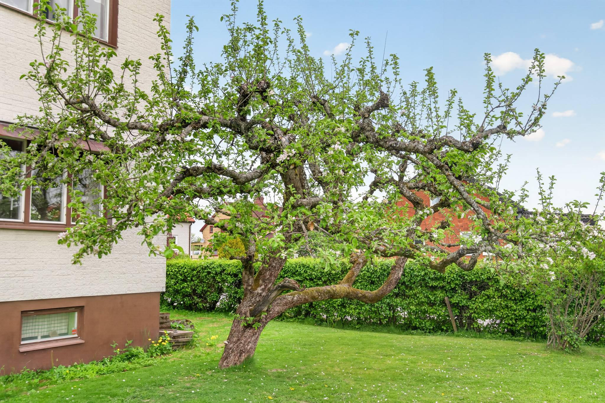 7 rum Villa på Dalvägen 4 Karls-Åby Karlskoga kommun - bild 39