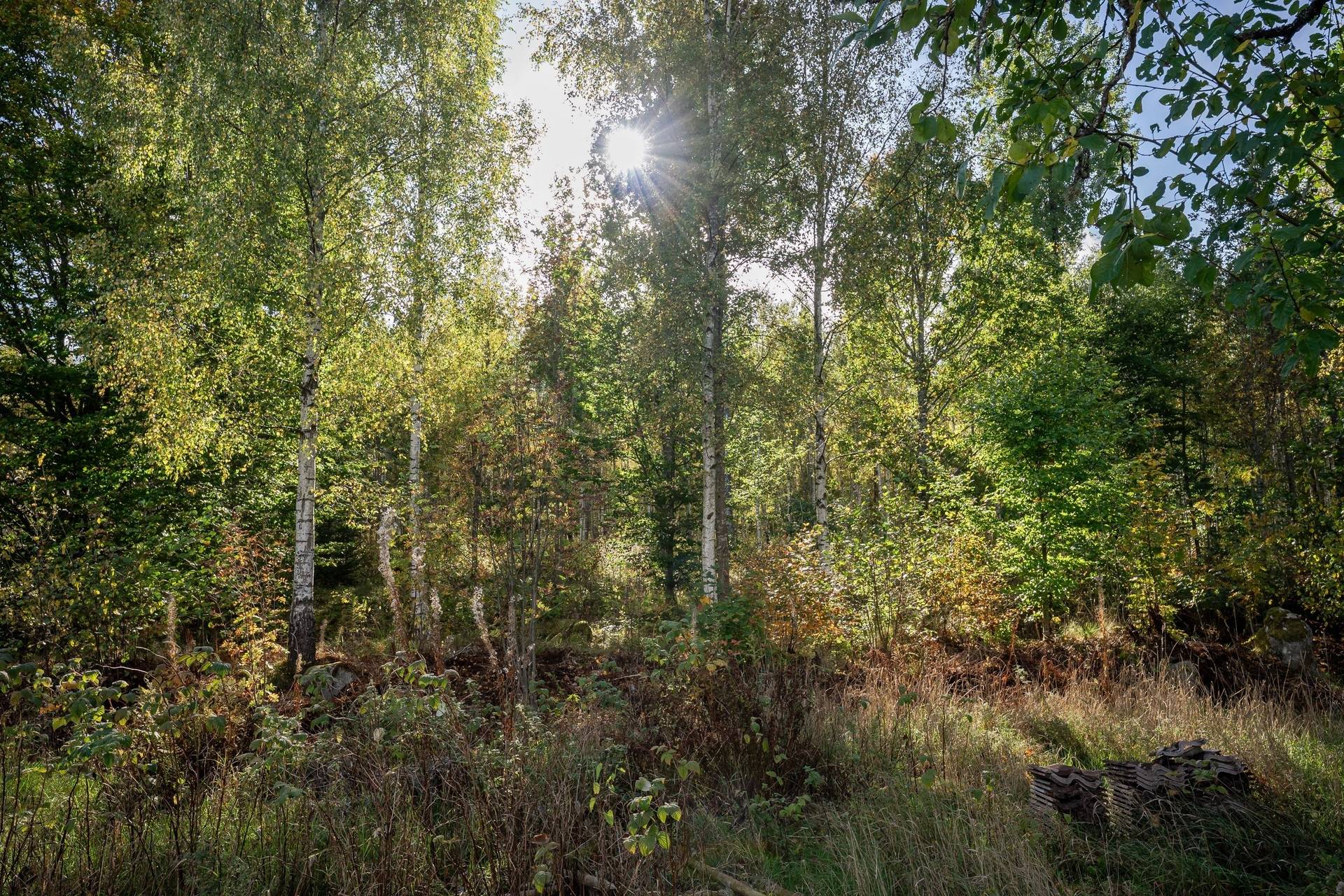 7 rum Villa på Stomvägen 13 Långasjö Emmaboda kommun - bild 34