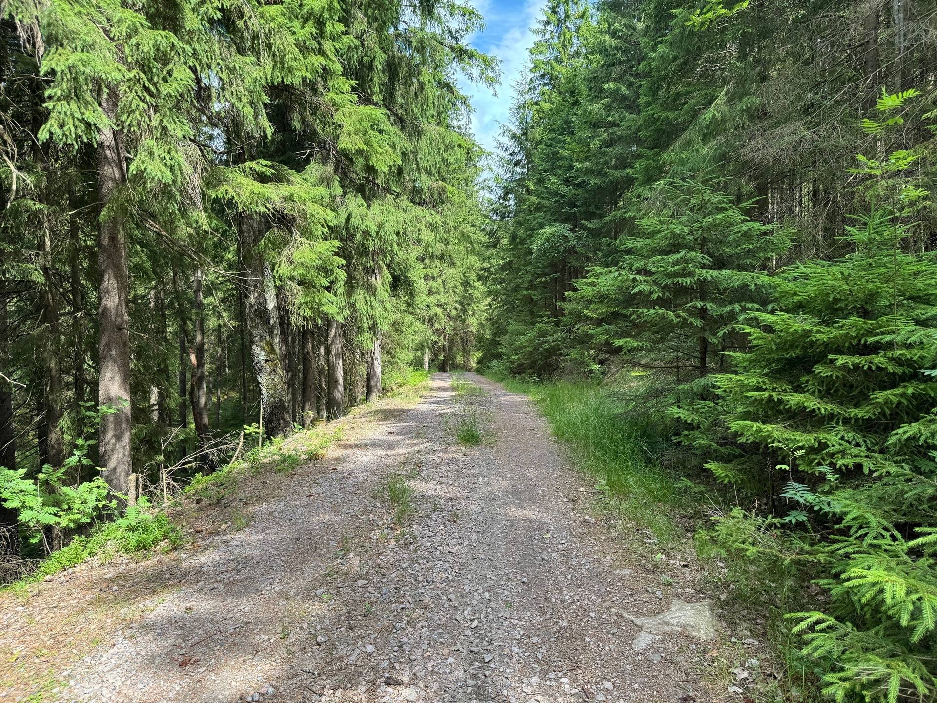 Gård med jordbruk på Ringestena Lillegården 1 Ringestena Svenljunga kommun - bild 55