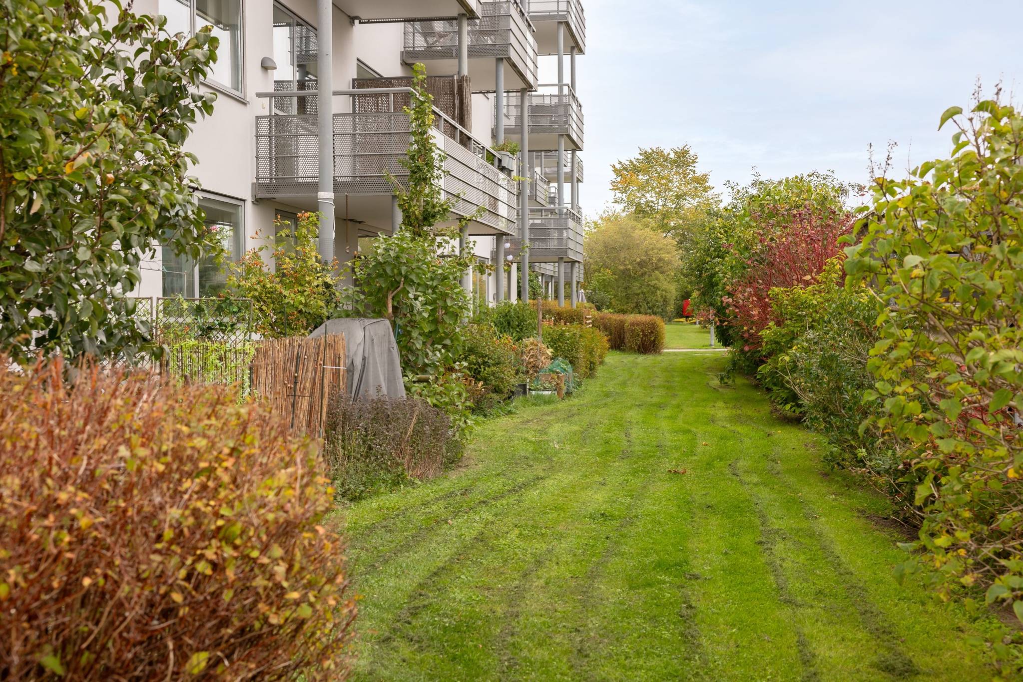 3 rum Lägenhet på Parternas gränd 65 Norra Fäladen Lunds kommun - bild 17