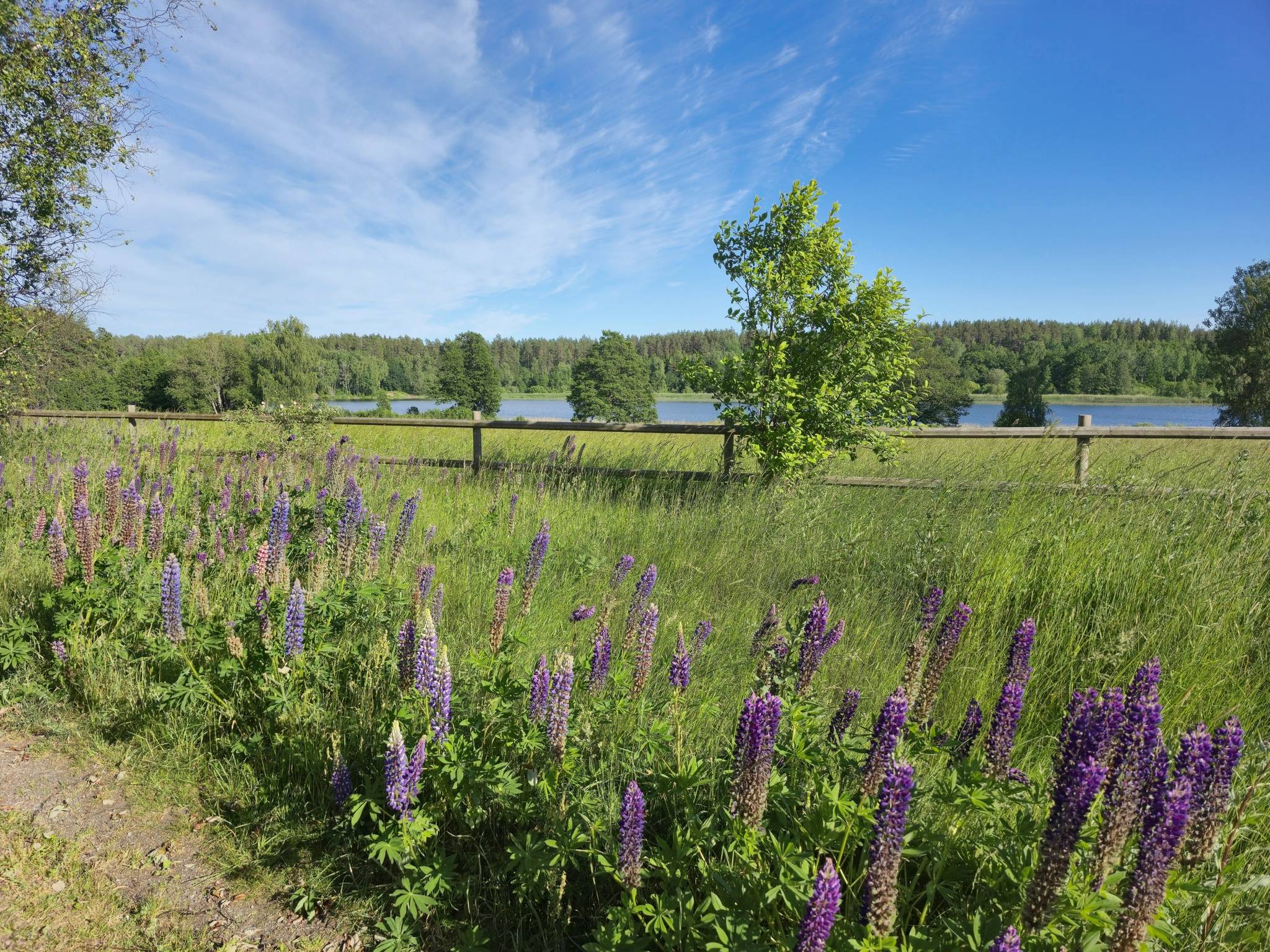 4 rum Vinterbonat fritidshus på Golfvägen 6 Sundsta Norrtälje kommun - bild 39