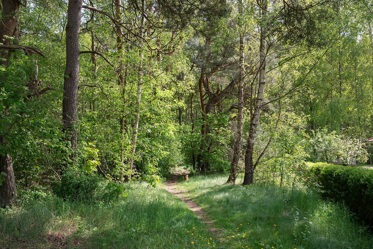 3 rum Villa på Vildkaninvägen 11 Hofterup - Ålstorp Kävlinge kommun - bild 31