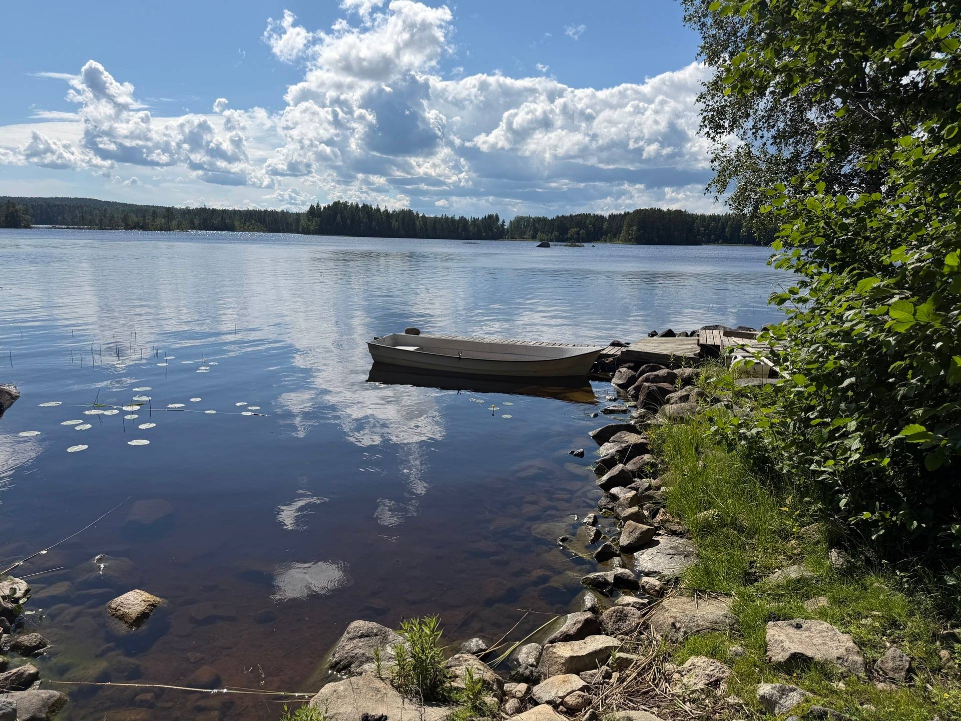 Gård med skogsbruk på Bölesvik 1 hjoggböle Skellefteå kommun - bild 20