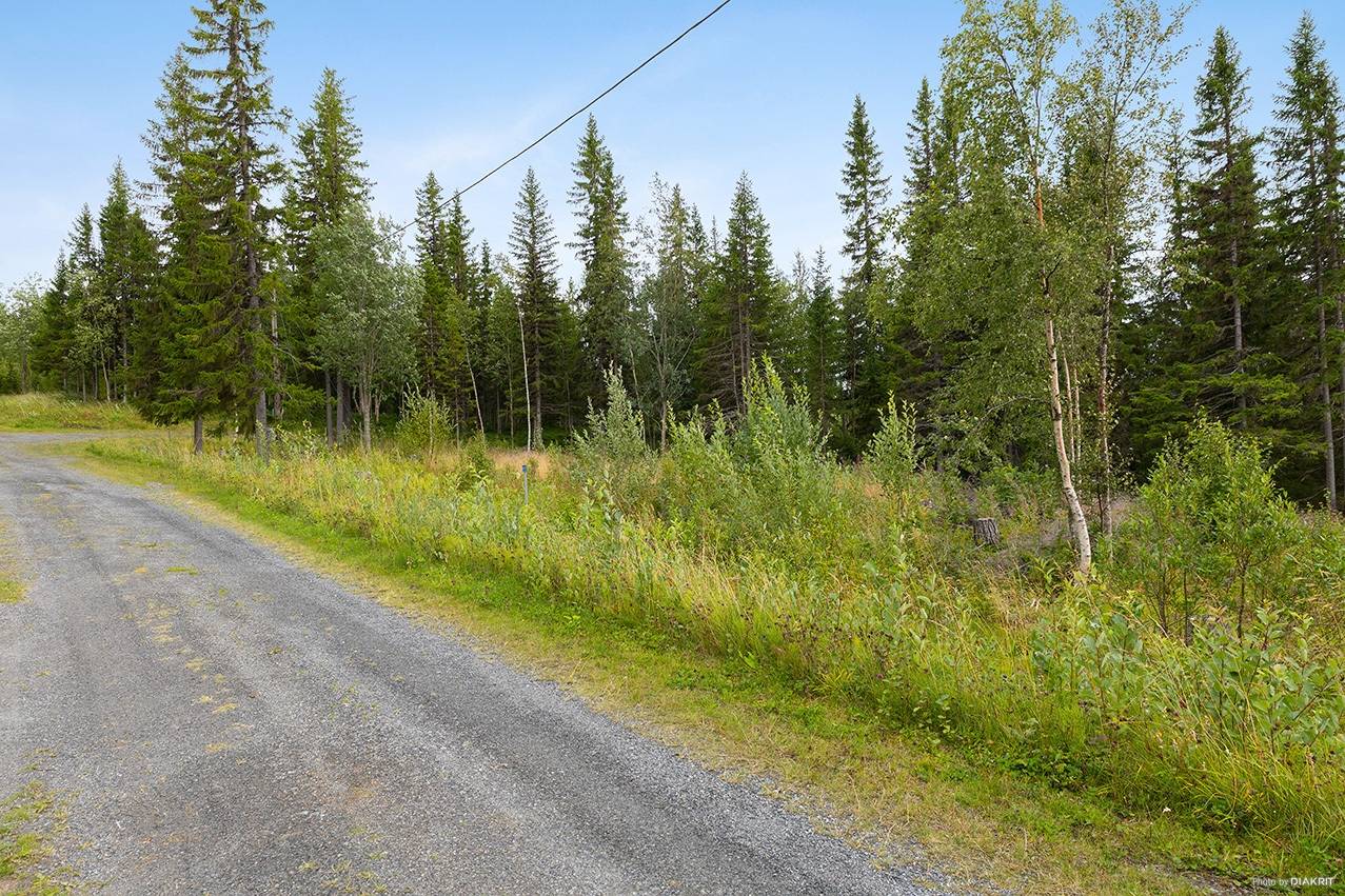 Tomt på Skogvaktarvägen 11 Rislängden Åre kommun - bild 8