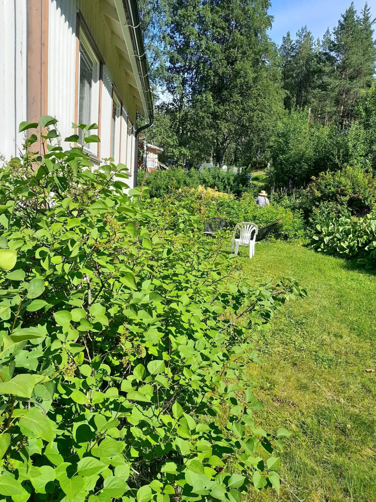 6 rum Gård/skog på Västra Ormsjö 216 Västra Ormsjö Dorotea kommun - bild 42