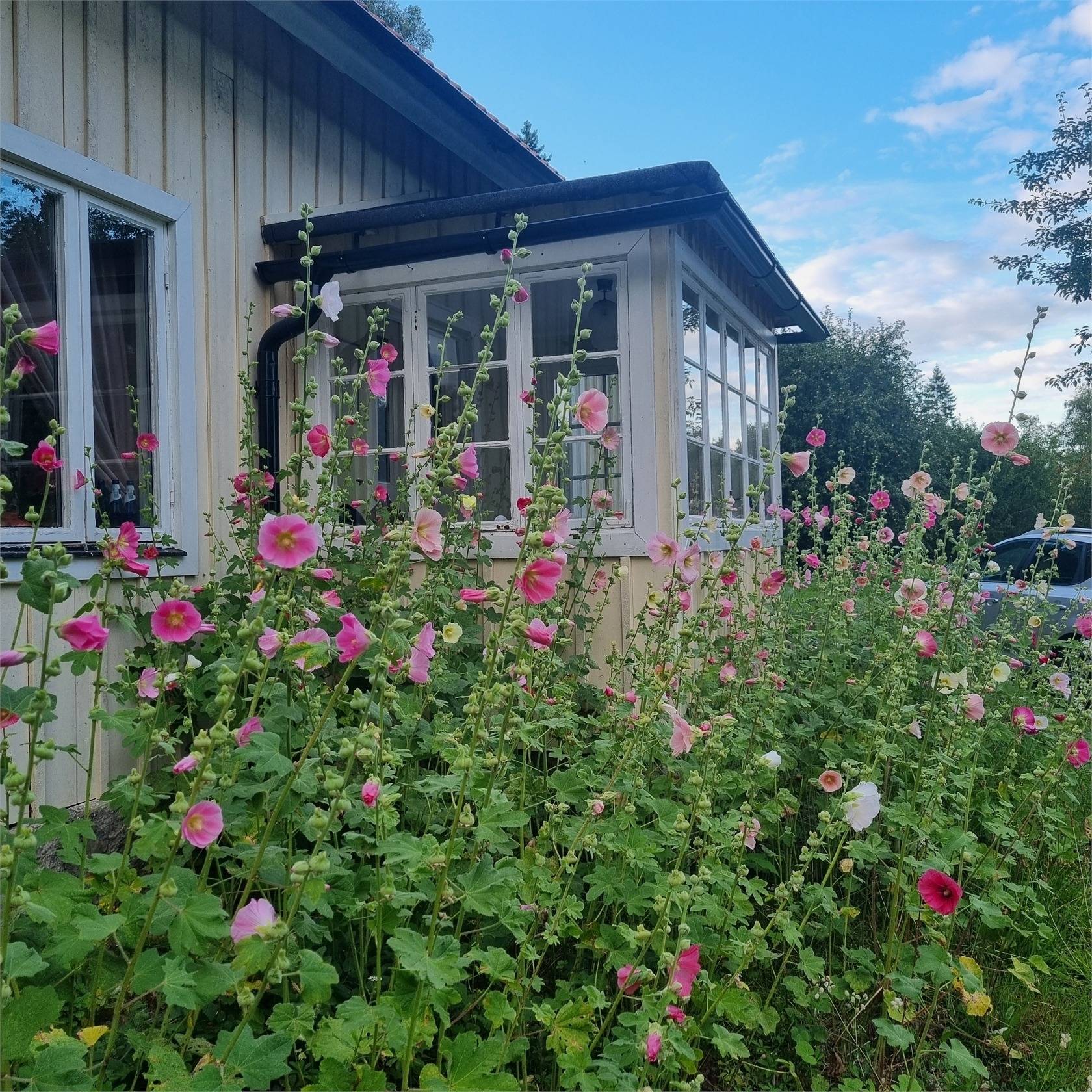 3 rum Villa på Omberg Anneborg 1 Vid Omberg Ödeshögs kommun - bild 43