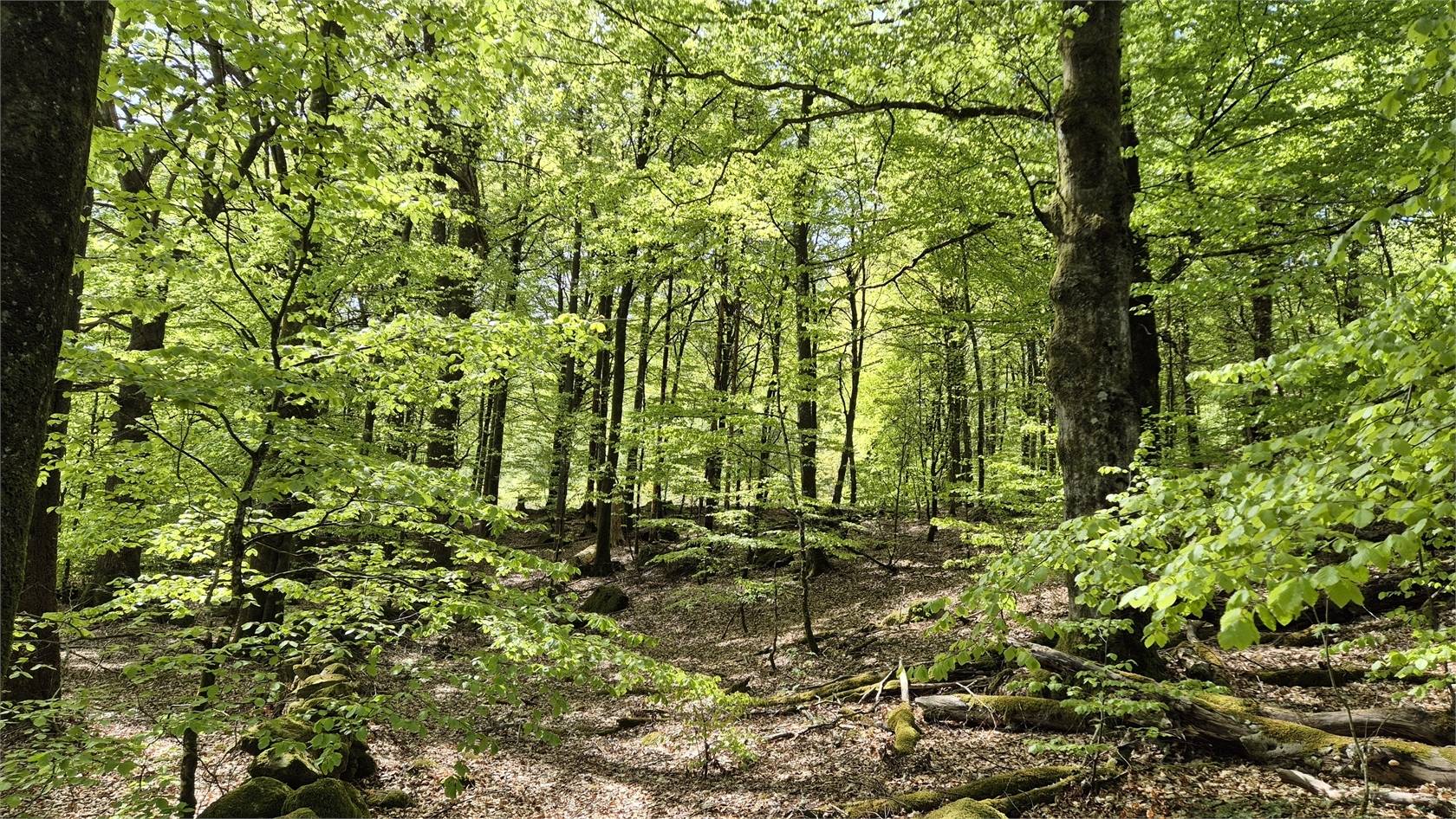 2 rum Fritidshus på Kanåsen 12 Grimeton Varbergs kommun - bild 30