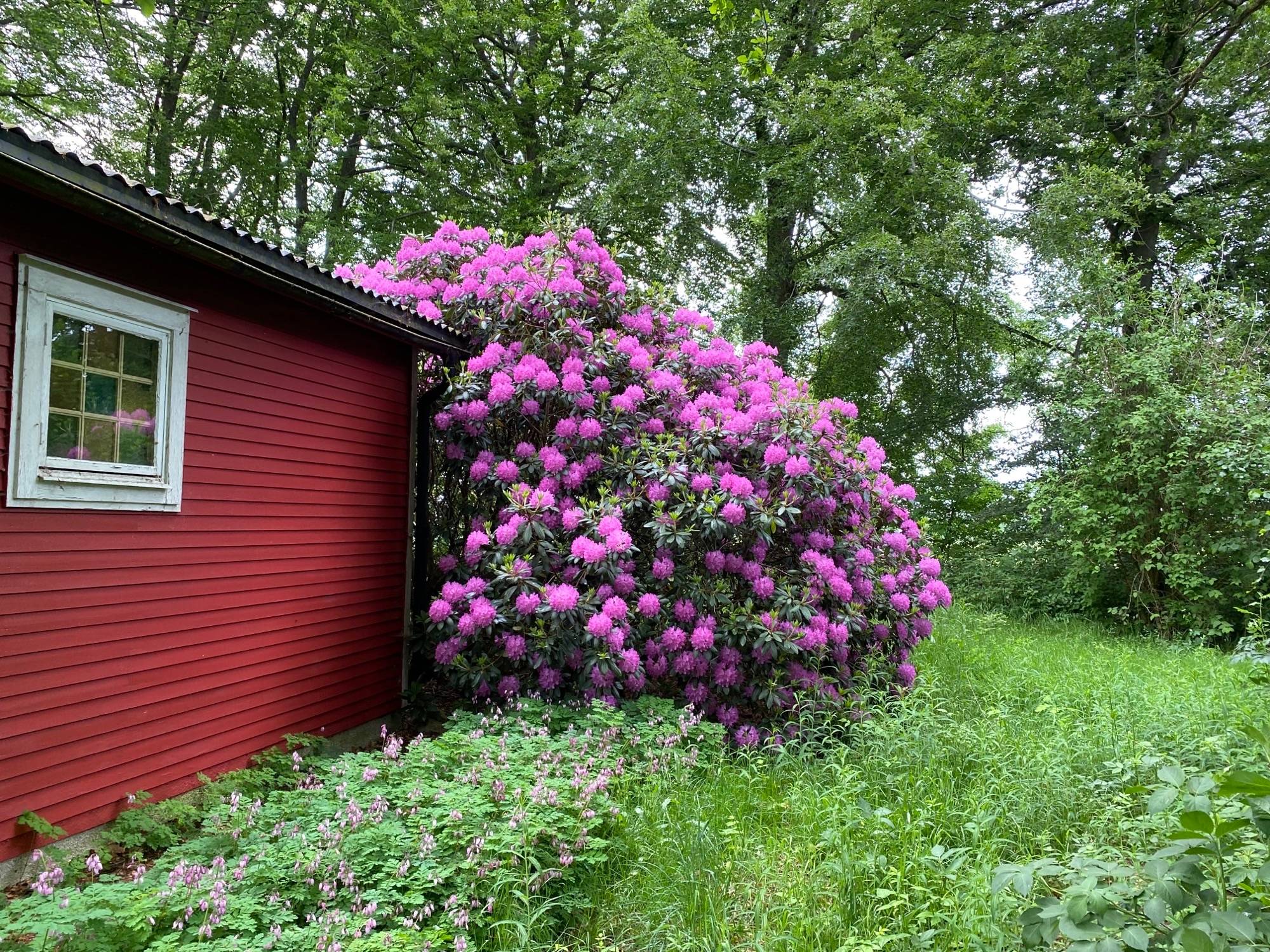 2 rum Fritidshus på Sallerup 7226 Hörby kommun - bild 31