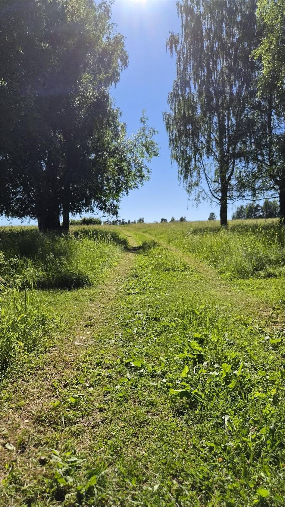 Tomt på Heden 44:2 Södra Leksand Leksands kommun - bild 19
