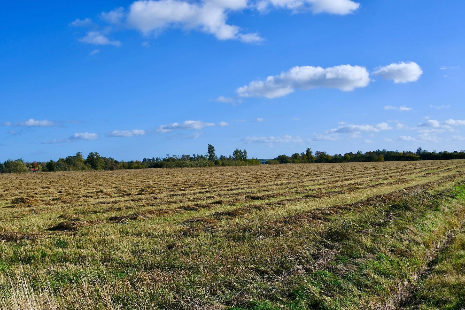 Gård med skogsbruk Binneberg Skövde kommun - bild 46