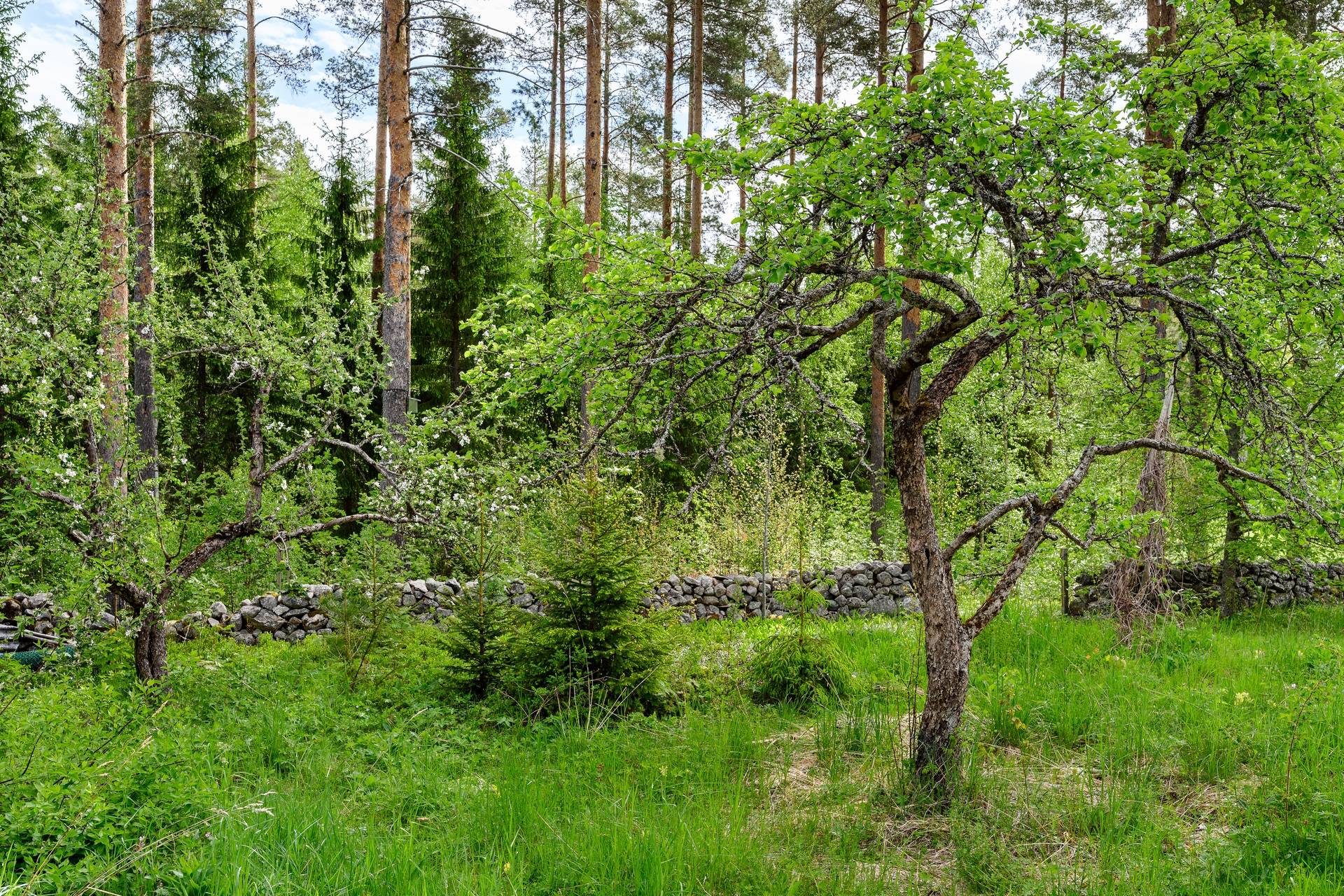 3 rum Villa på Kavelmora 280 Falun Falu kommun - bild 35