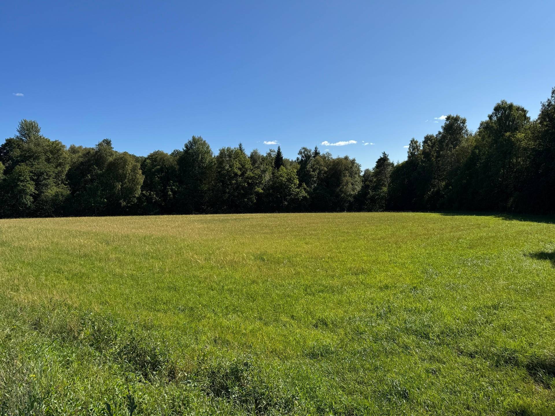 6 rum Gård med jordbruk på Kvarbo gård 2 Borås kommun - bild 40