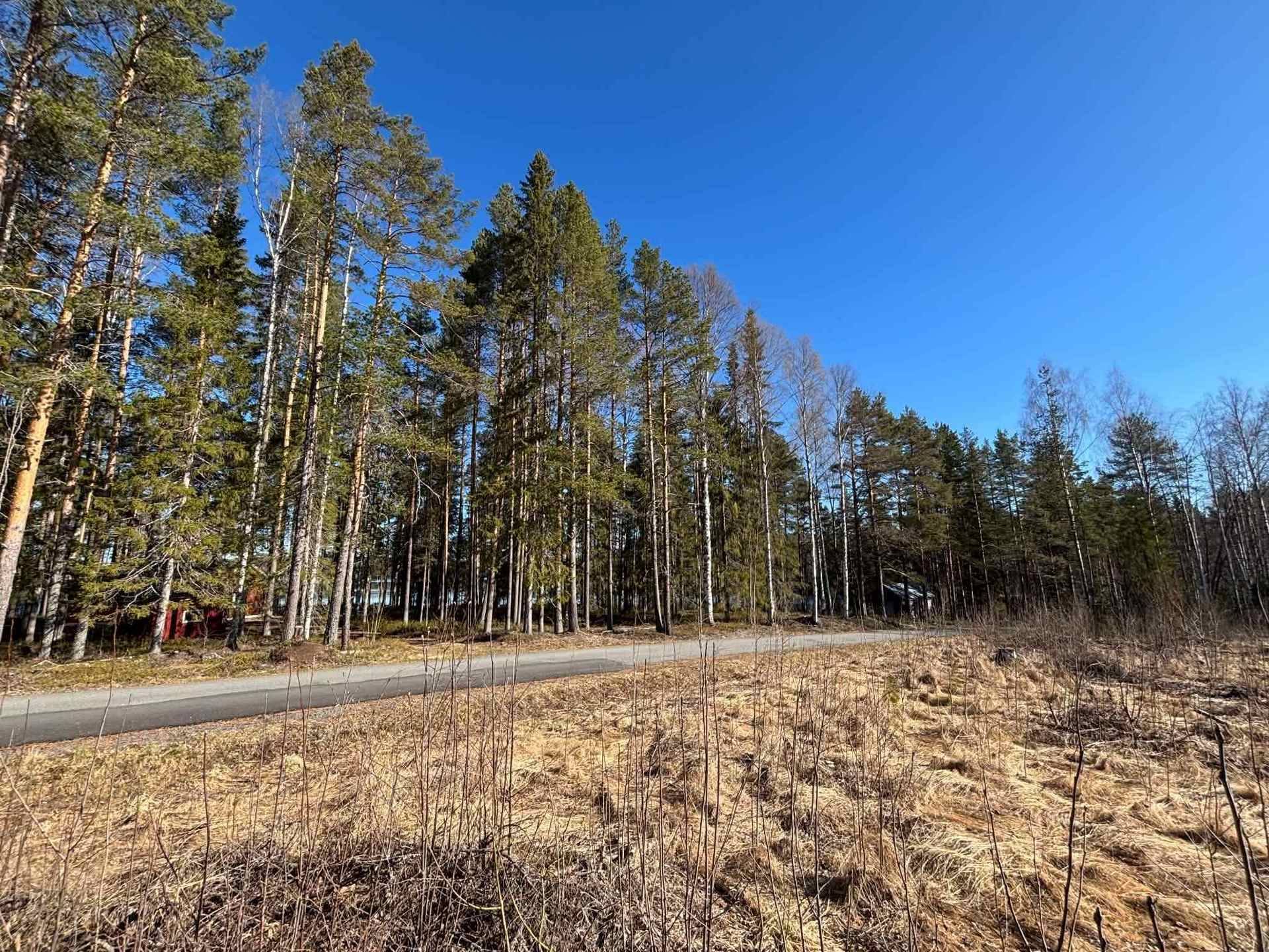 Gård med skogsbruk på BODEN BREDÅKER 9:10 Kusträsk Bodens kommun - bild 14