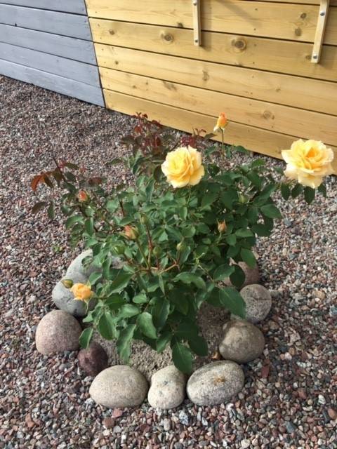 5 rum Villa på Järnvägsgatan 40 Krylbo Avesta kommun - bild 53