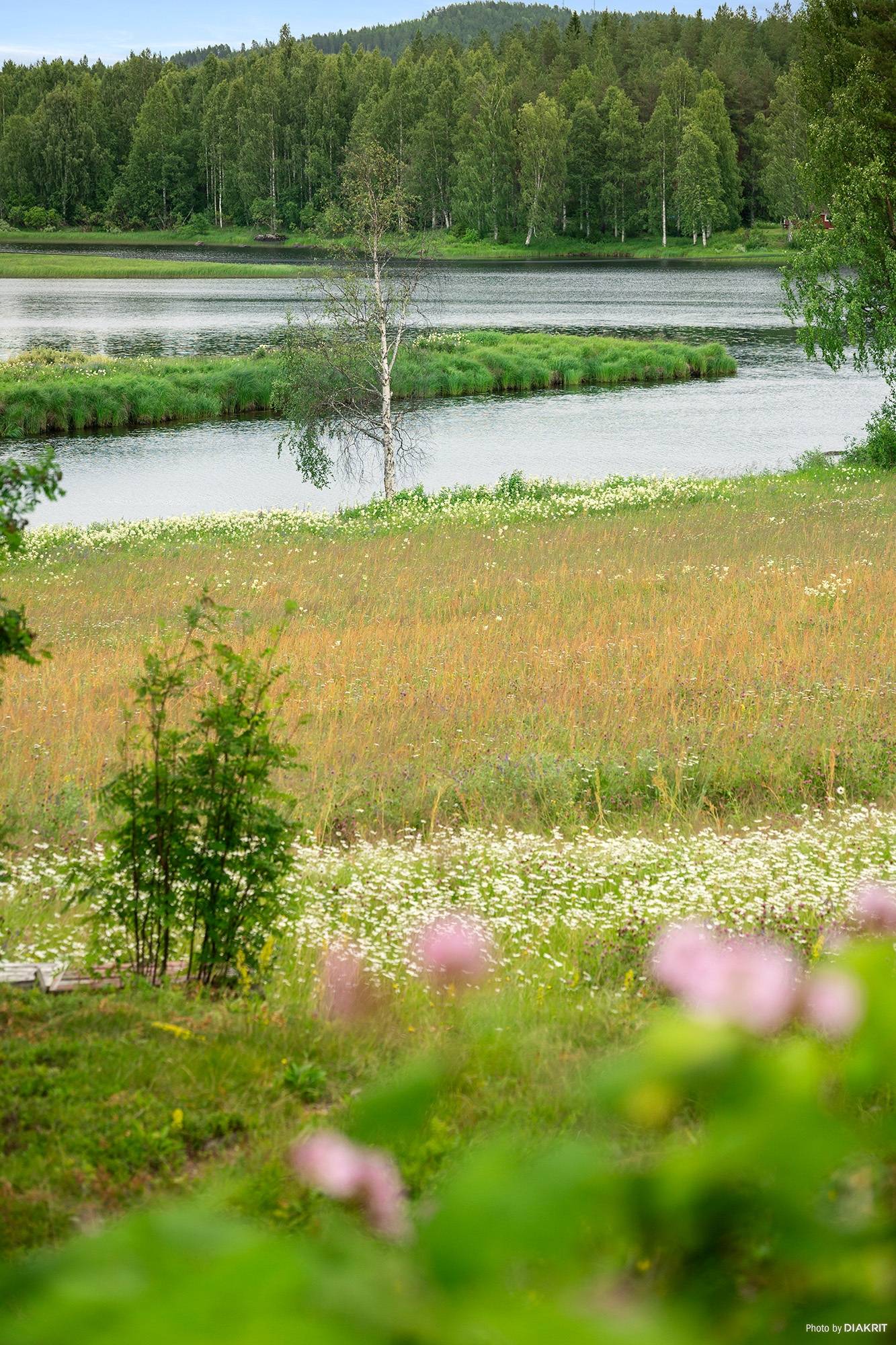 143 m² Vinterbonat fritidshus på Södra Niemisel 960 Södra Niemisel Luleå kommun - bild 19