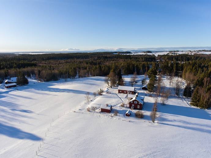 6 rok · 170 m² · Vike 690