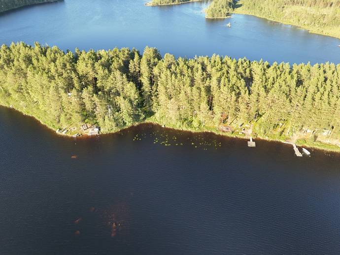 Björnholmen, Dammsjön HOLSÅKER 1:42